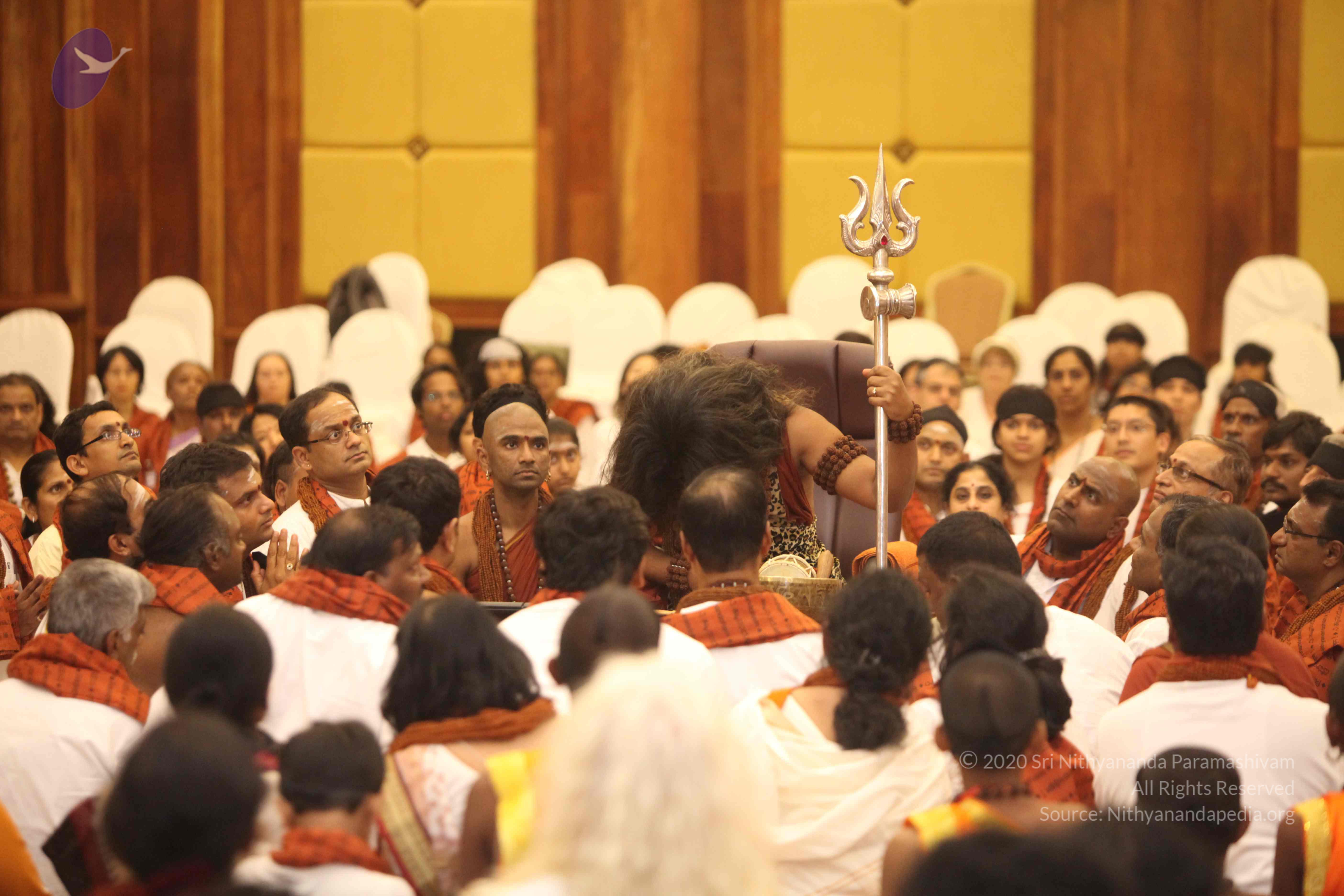 20141214_Photo_1031_IMG_4775_CMP_WM