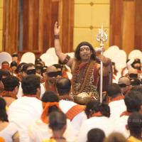 20141214_Photo_1069_IMG_4789_CMP_WM