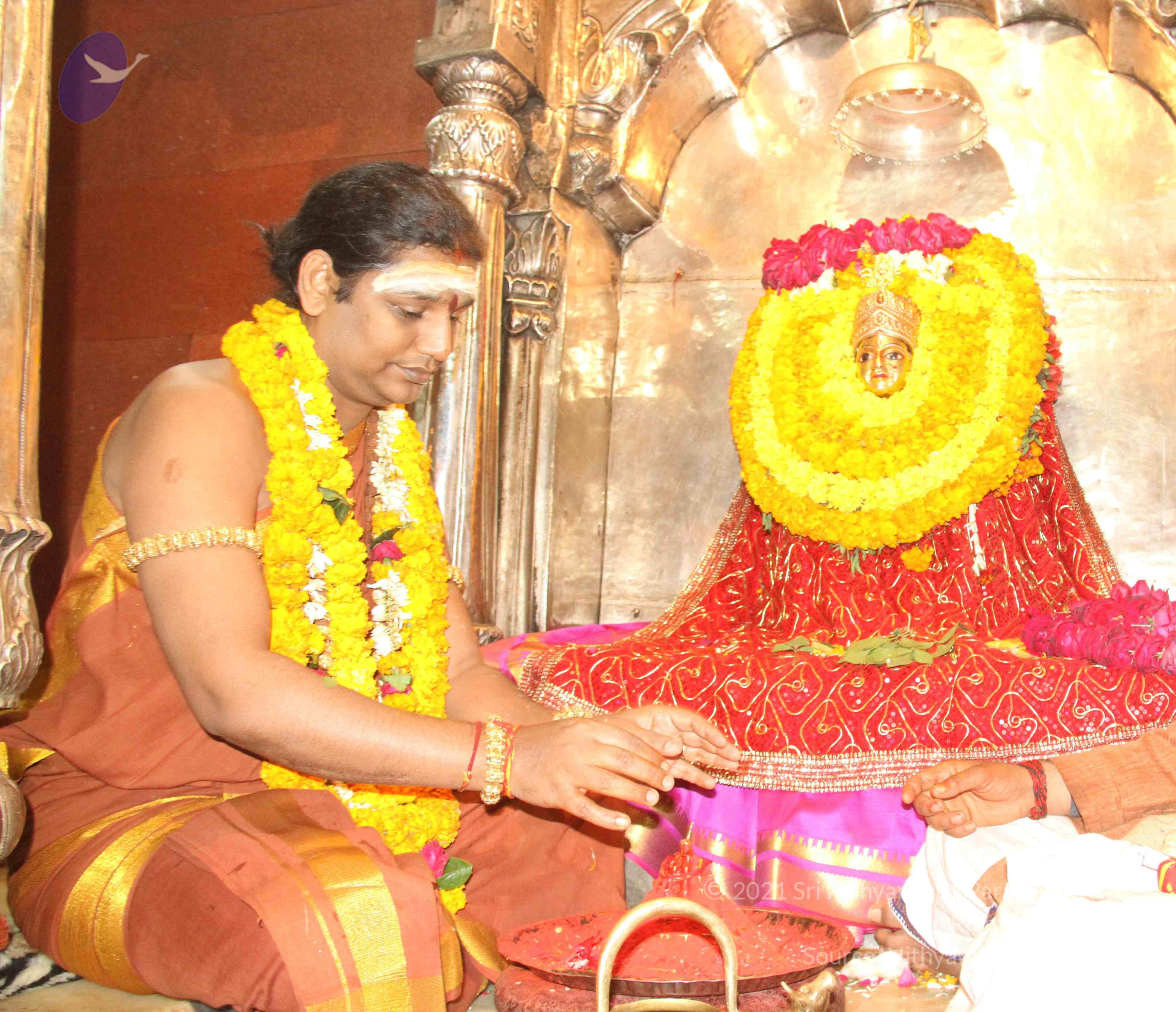 IMG_8382_CMP_WM Done