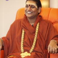 _MG_4224-20140109-065835_CMP_WM