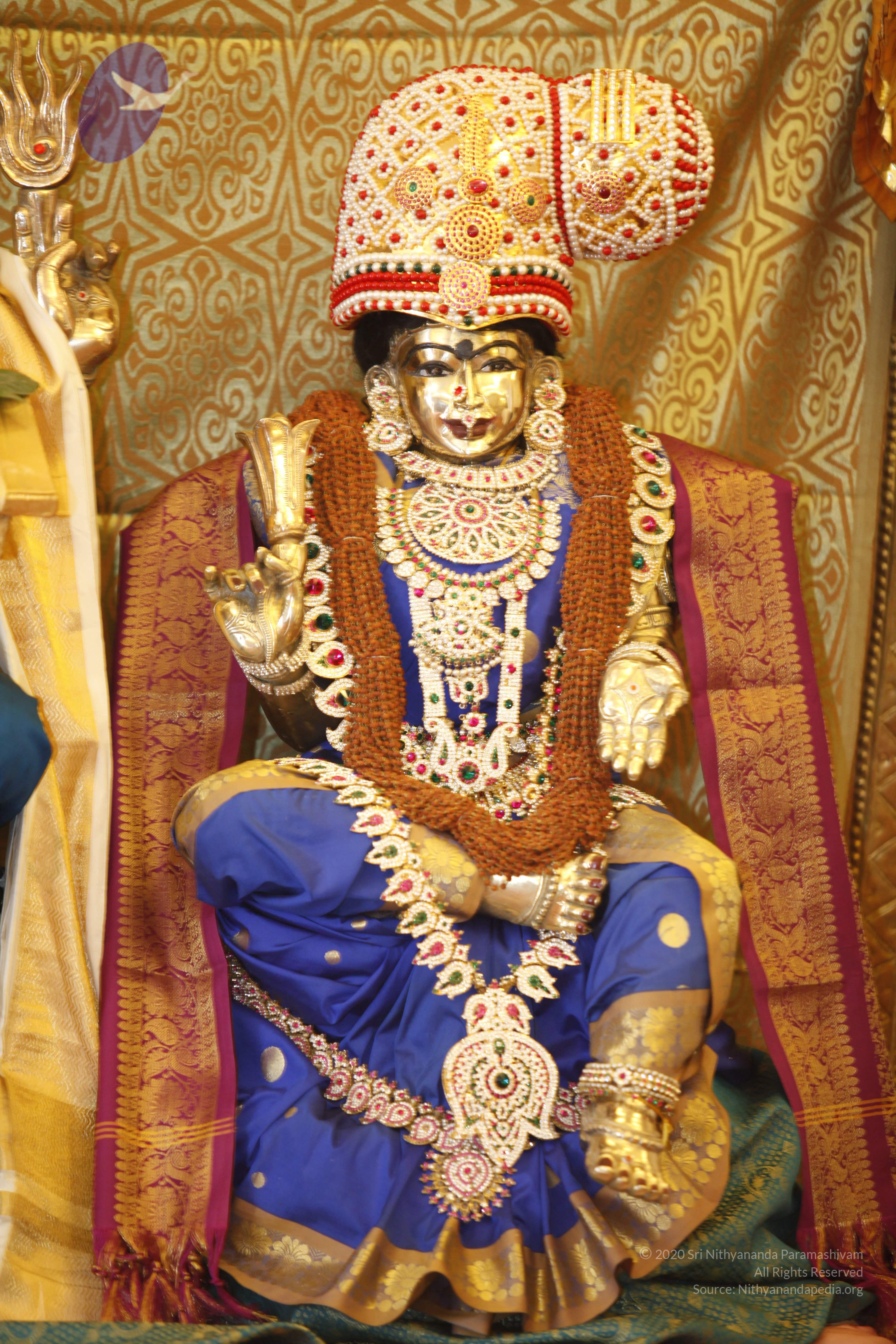 2014-01jan-17th-nithyananda-diary-haridwar-ia_MG_6568-20140117-112336-leela-alankaram_CMP_WM