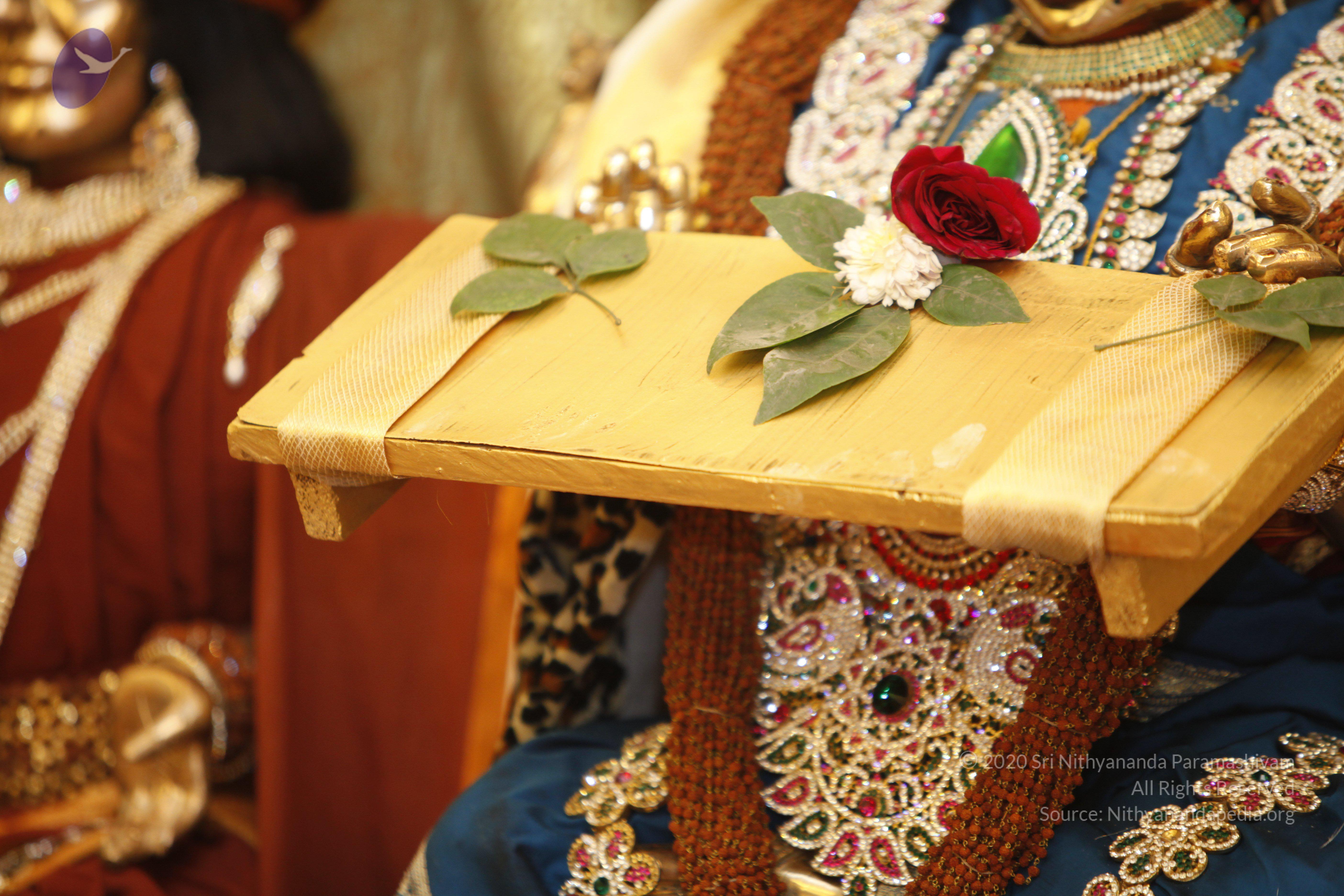 2014-01jan-17th-nithyananda-diary-haridwar-ia_MG_6569-20140117-112338-leela-alankaram_CMP_WM