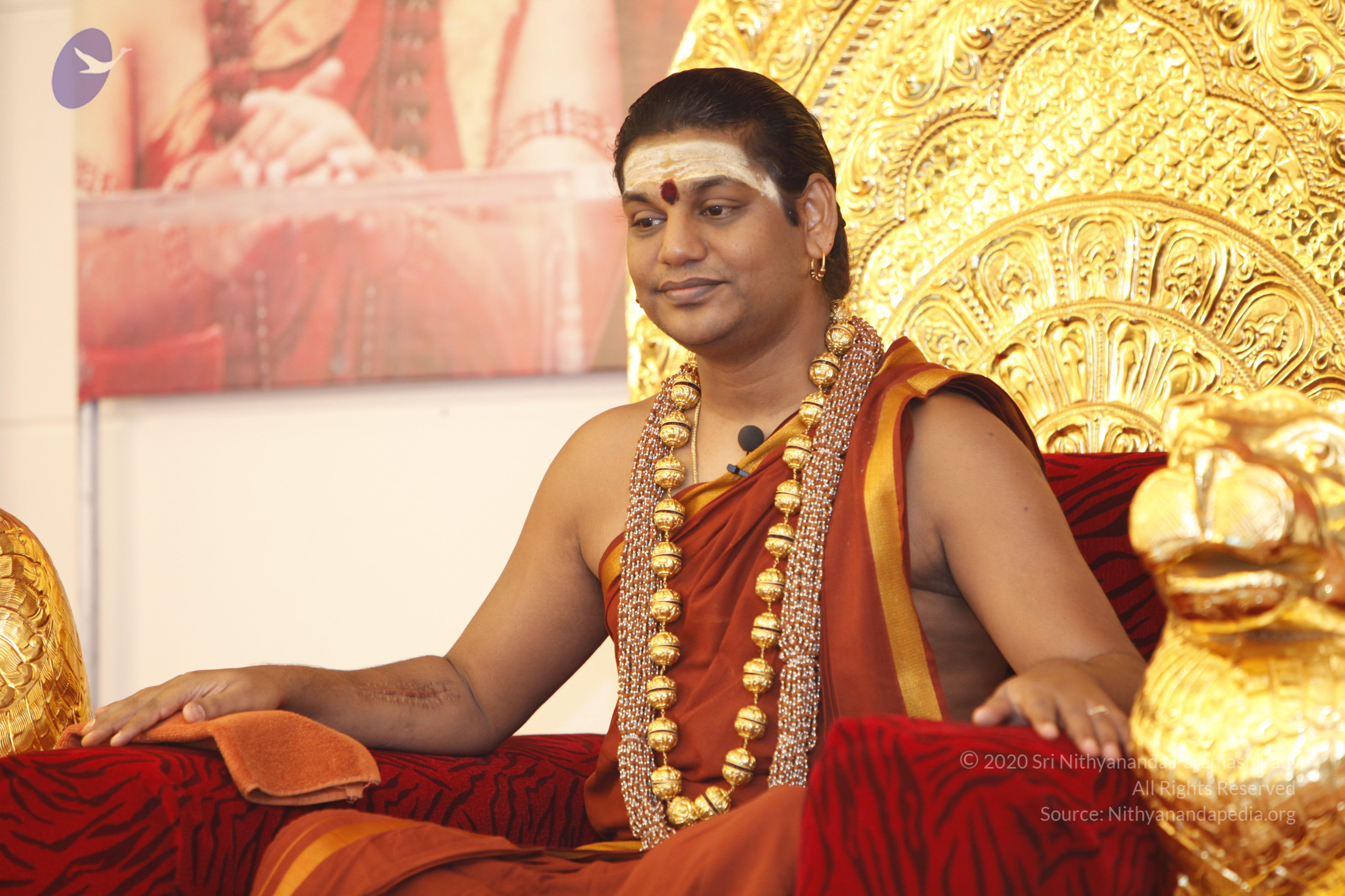 2014-01jan-17th-nithyananda-diary-haridwar-ia_MG_6611-20140117-112422-nithya-satsang_CMP_WM