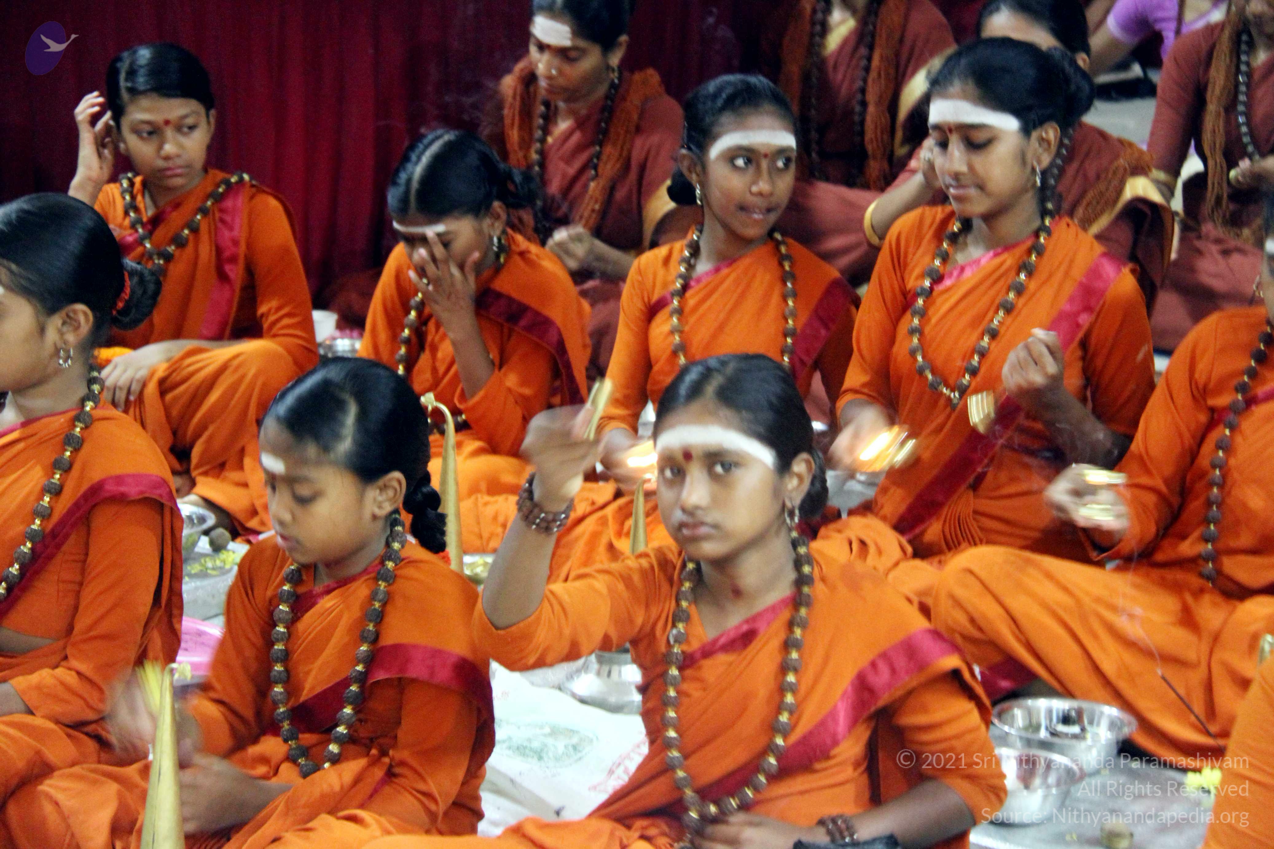 batch_20140303_IMG_355301