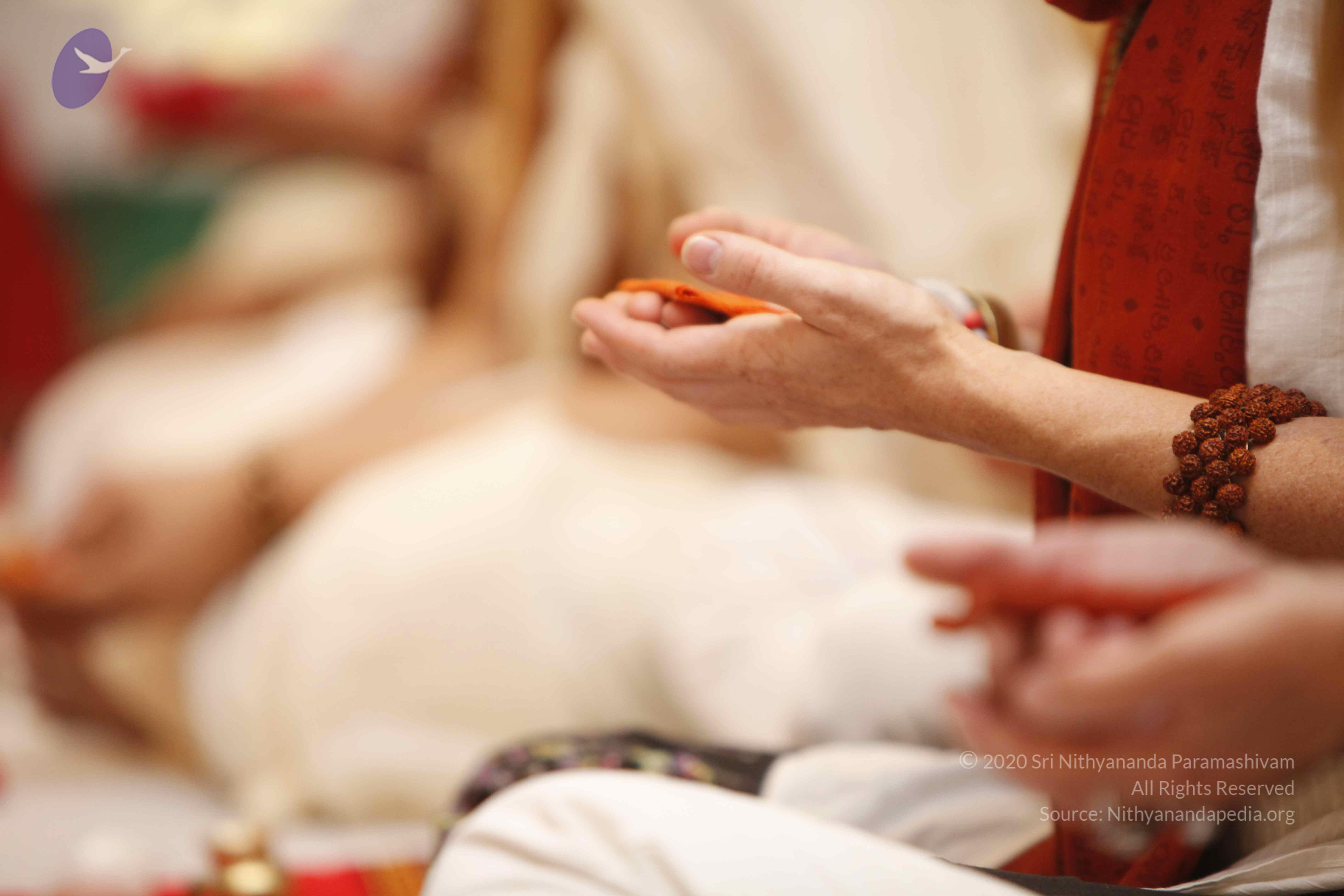 20140502_Photo_1005__MG_3592_CMP_WM