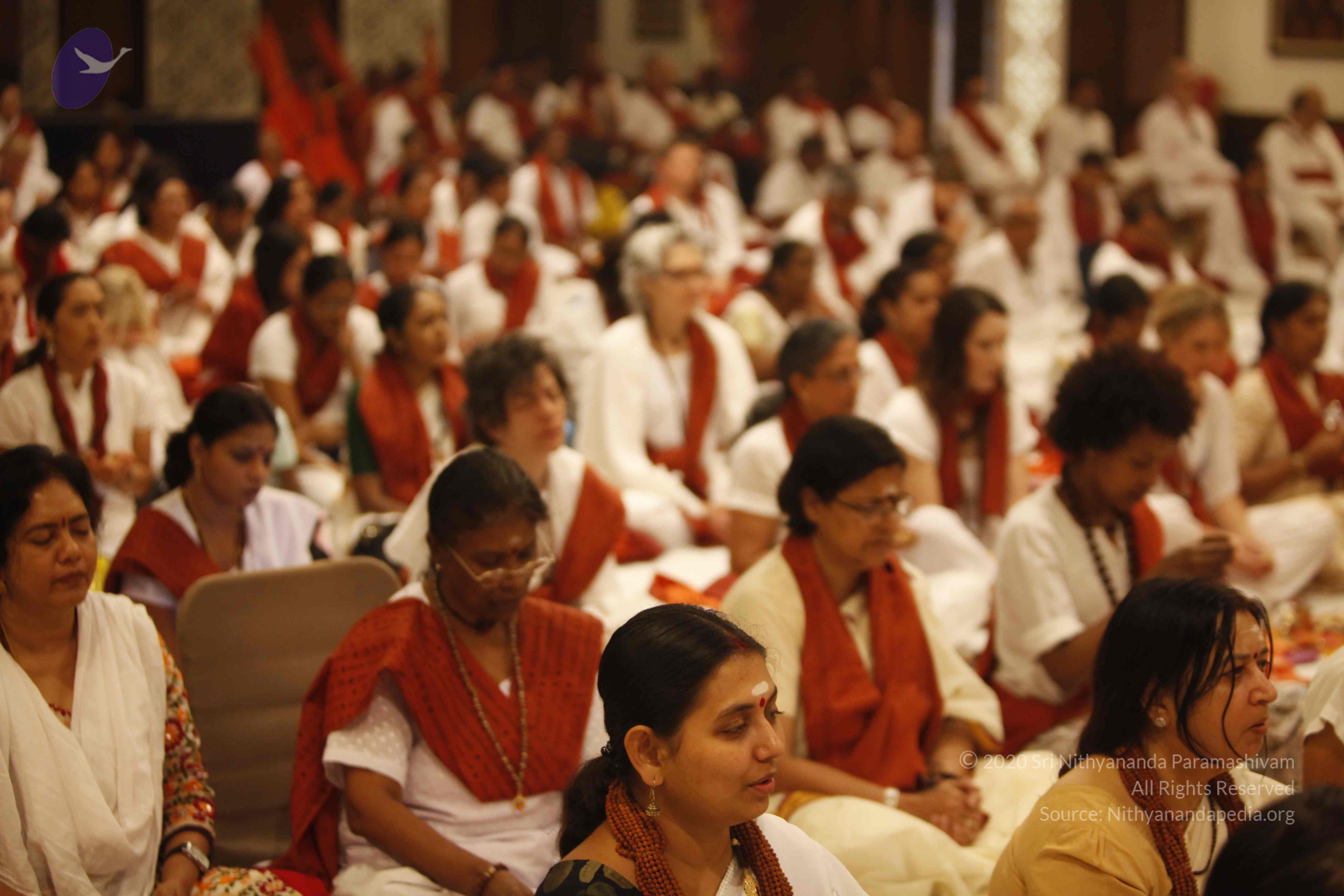 20140502_Photo_1026__MG_3607_CMP_WM