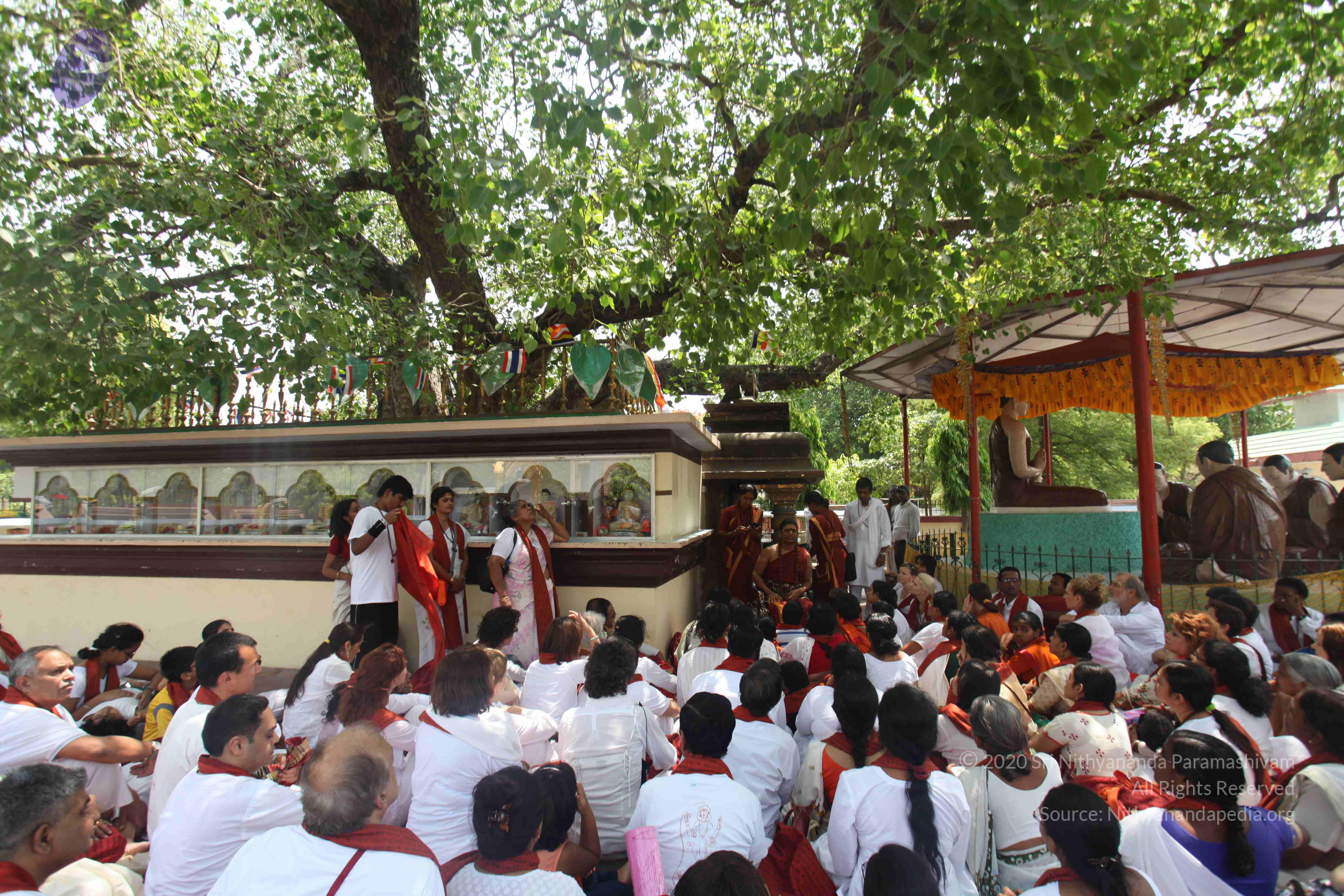 20140502_Photo_1016_IMG_3725_CMP_WM