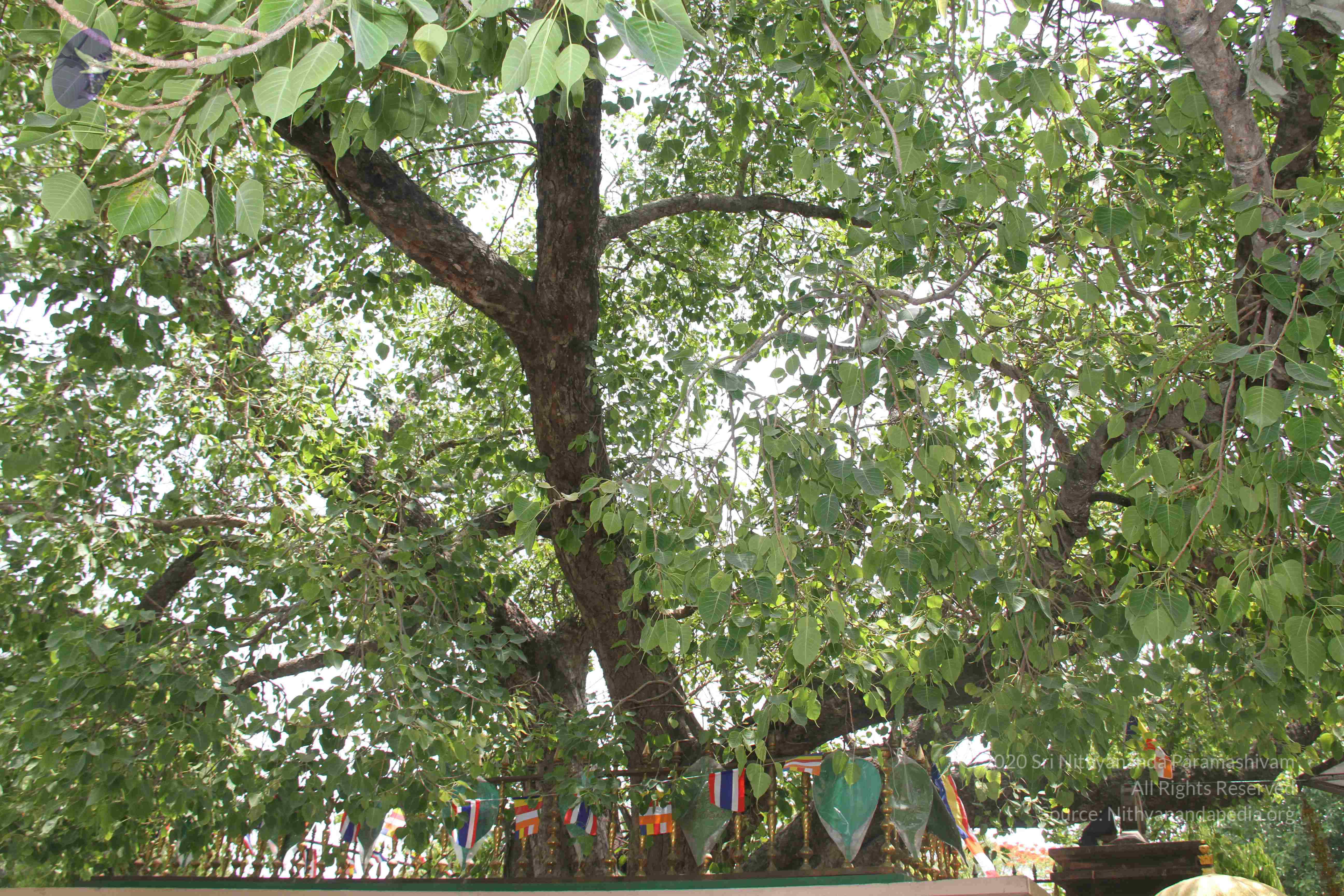 20140502_Photo_1037_IMG_3700_CMP_WM