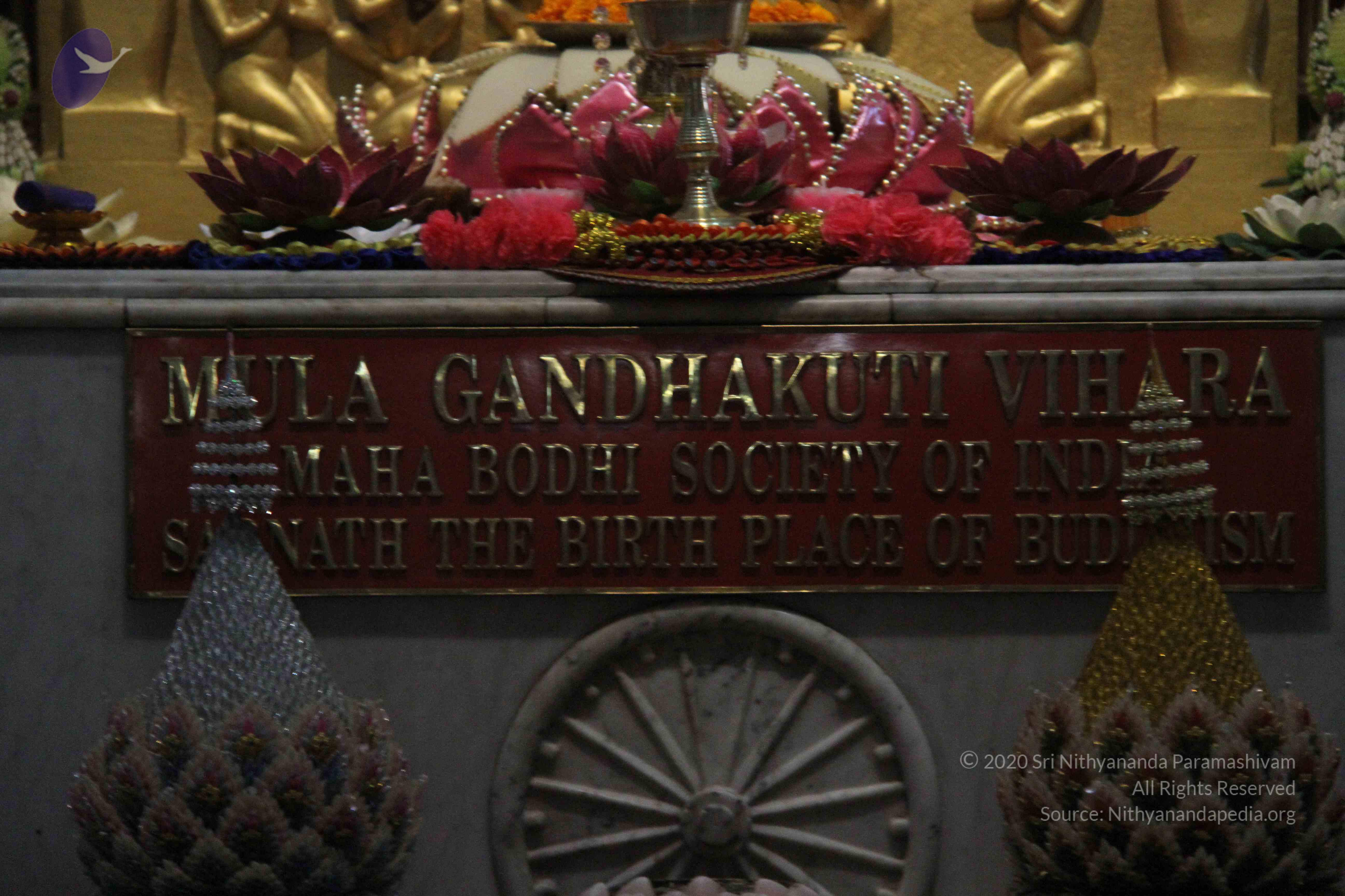 20140502_Photo_1050_IMG_3668_CMP_WM