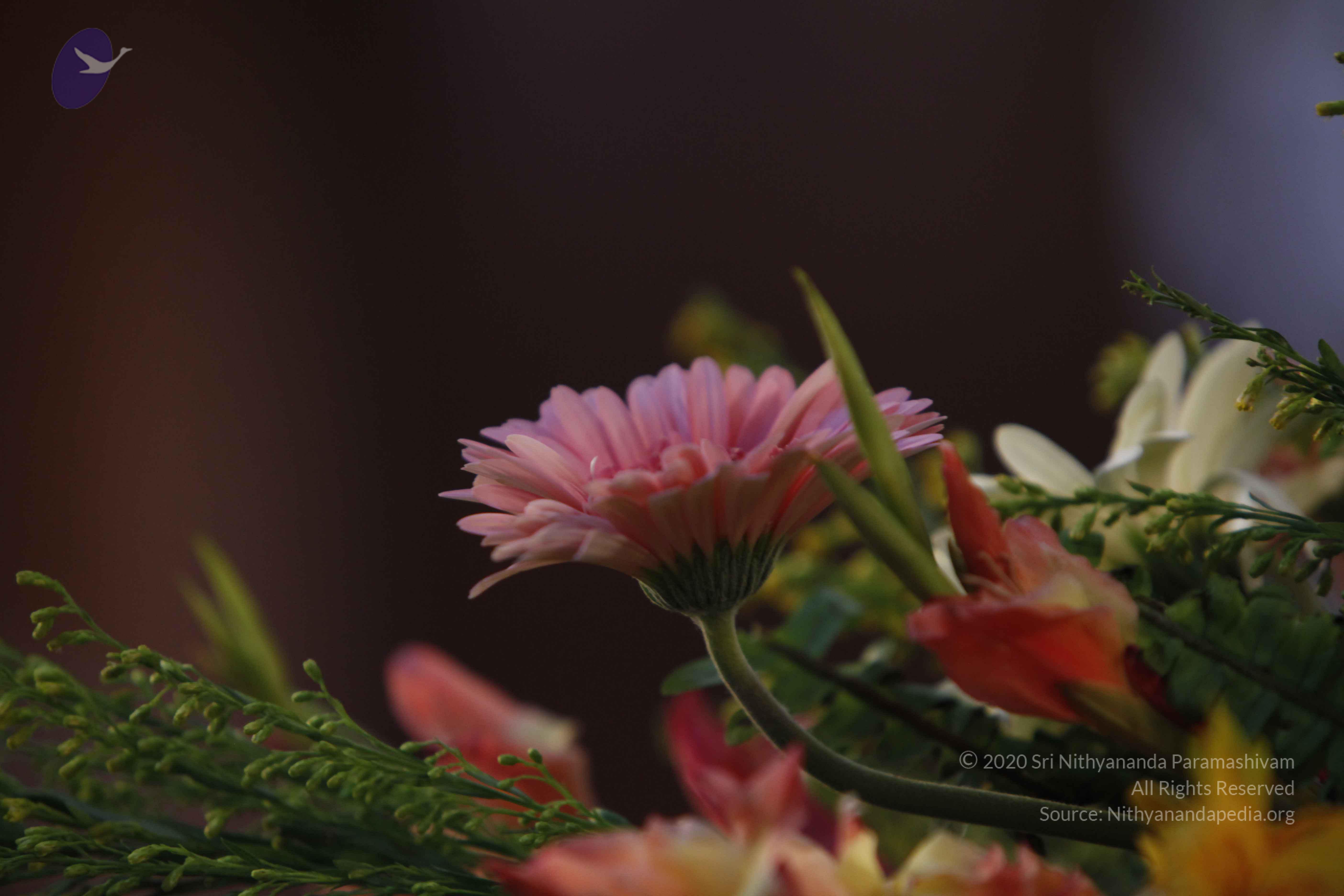 20140502_Photo_1000__MG_3777_CMP_WM