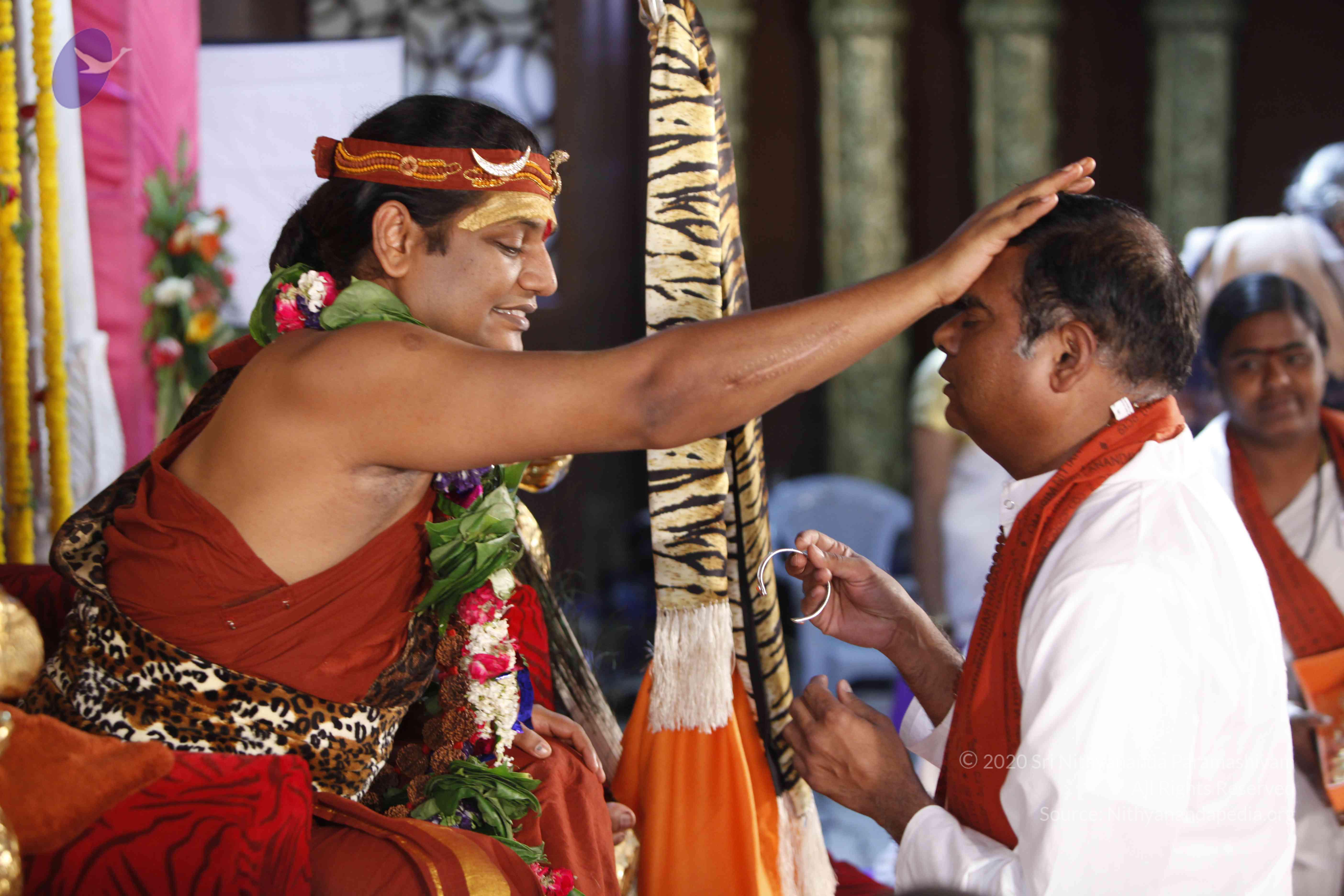 20140502_Photo_1067__MG_4067_CMP_WM