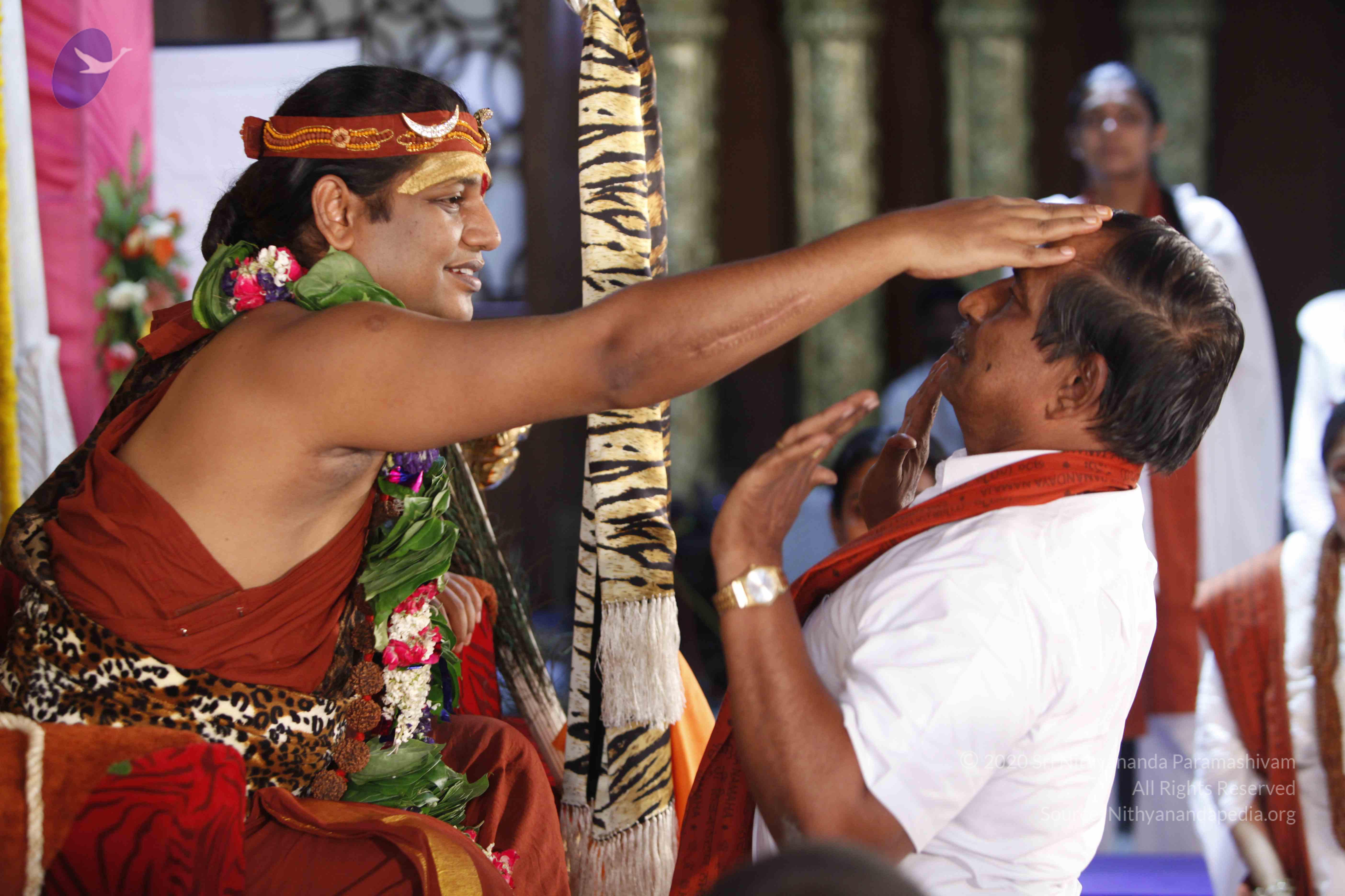 20140502_Photo_1077__MG_4008_CMP_WM