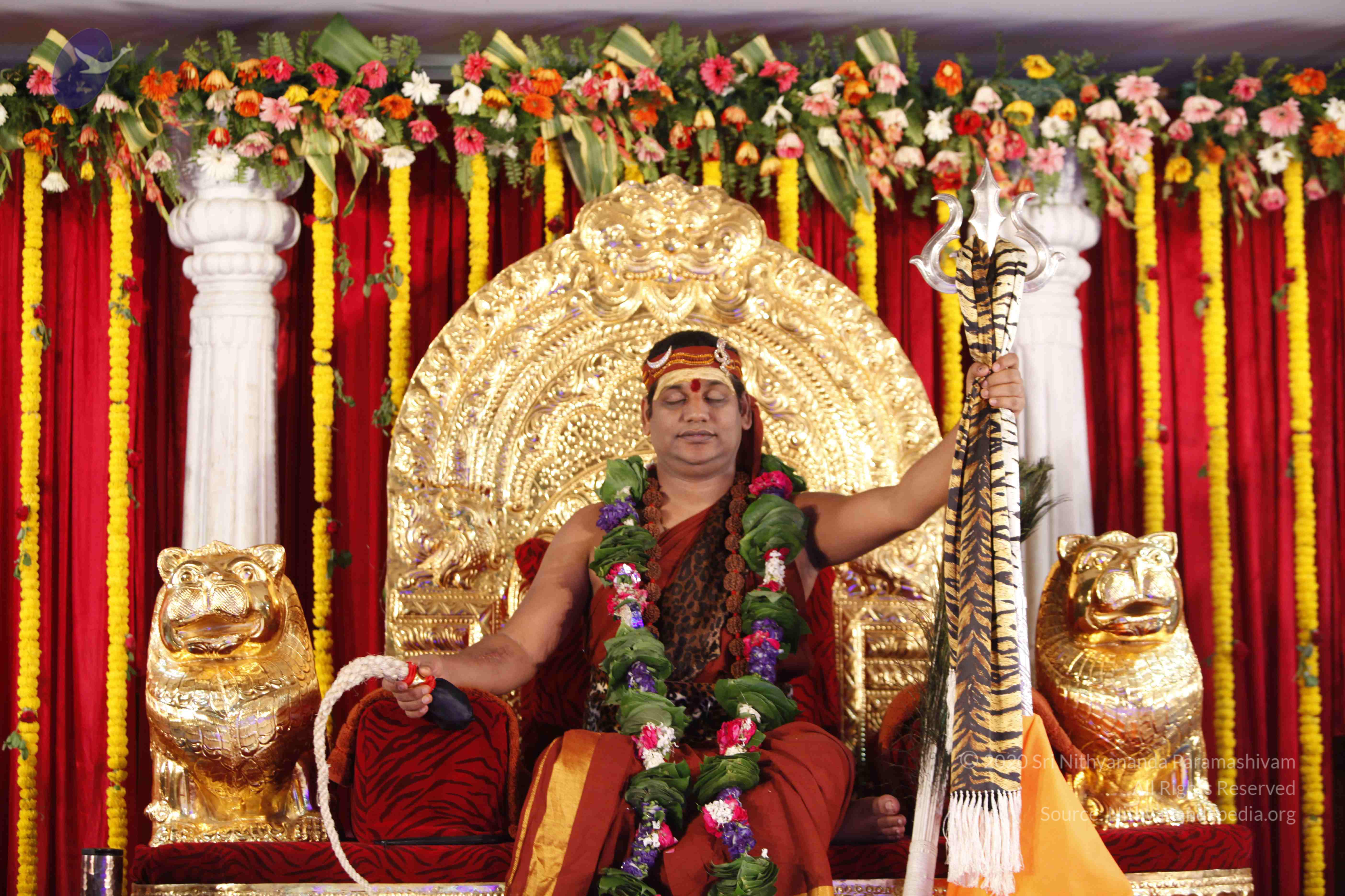 20140502_Photo_1081__MG_3790_CMP_WM