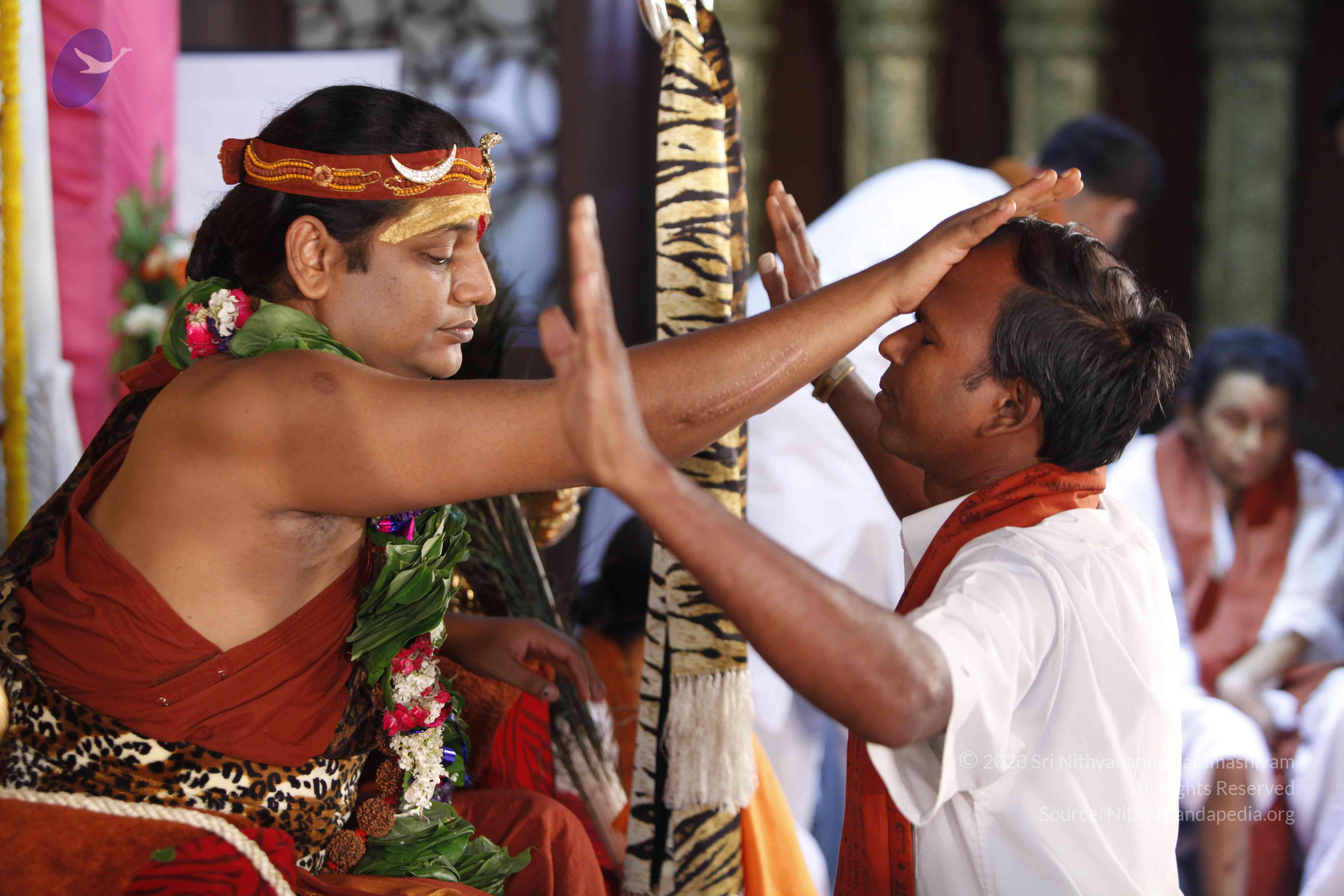 20140502_Photo_1097__MG_4000_CMP_WM