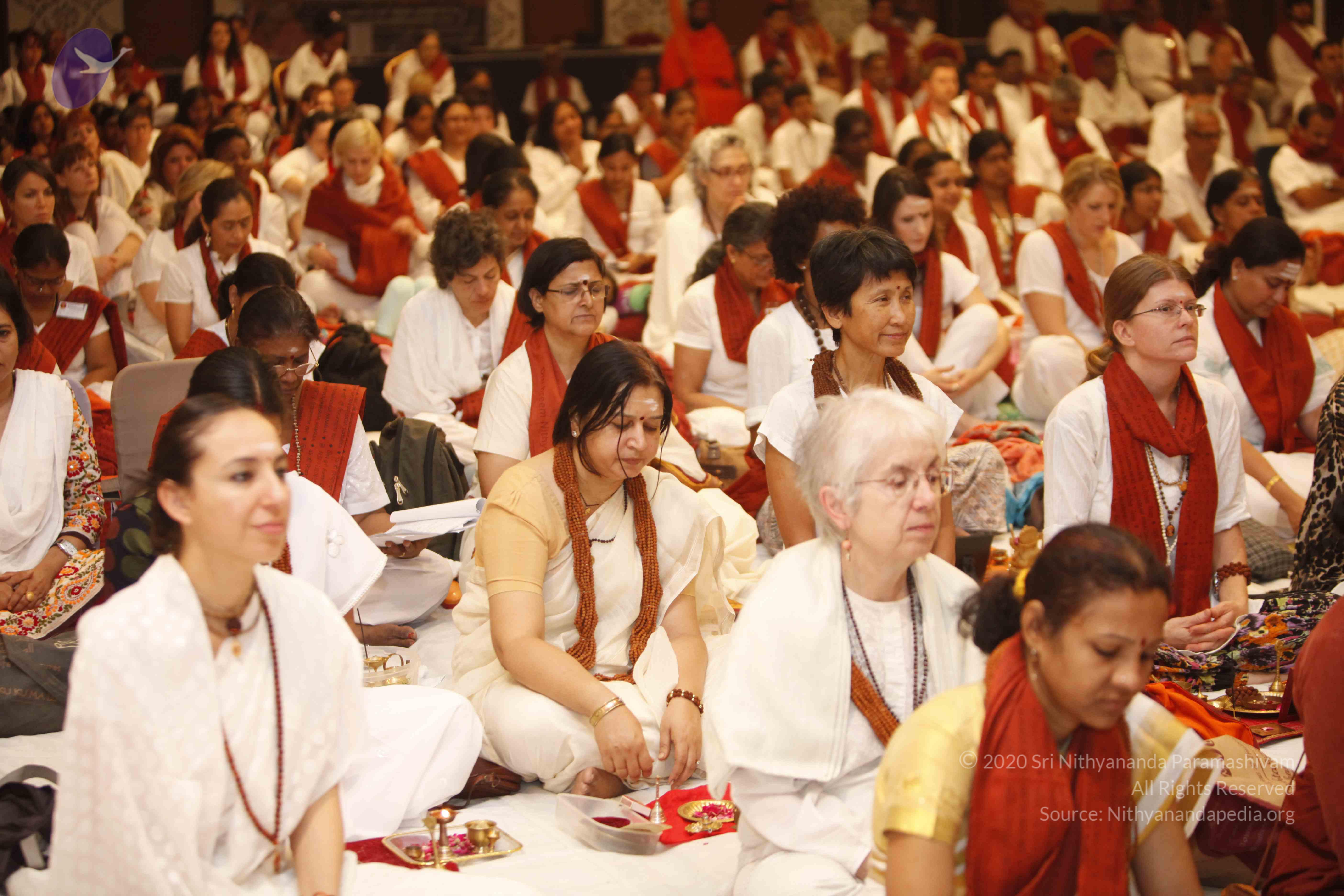 20140502_Photo_1004__MG_3583_CMP_WM