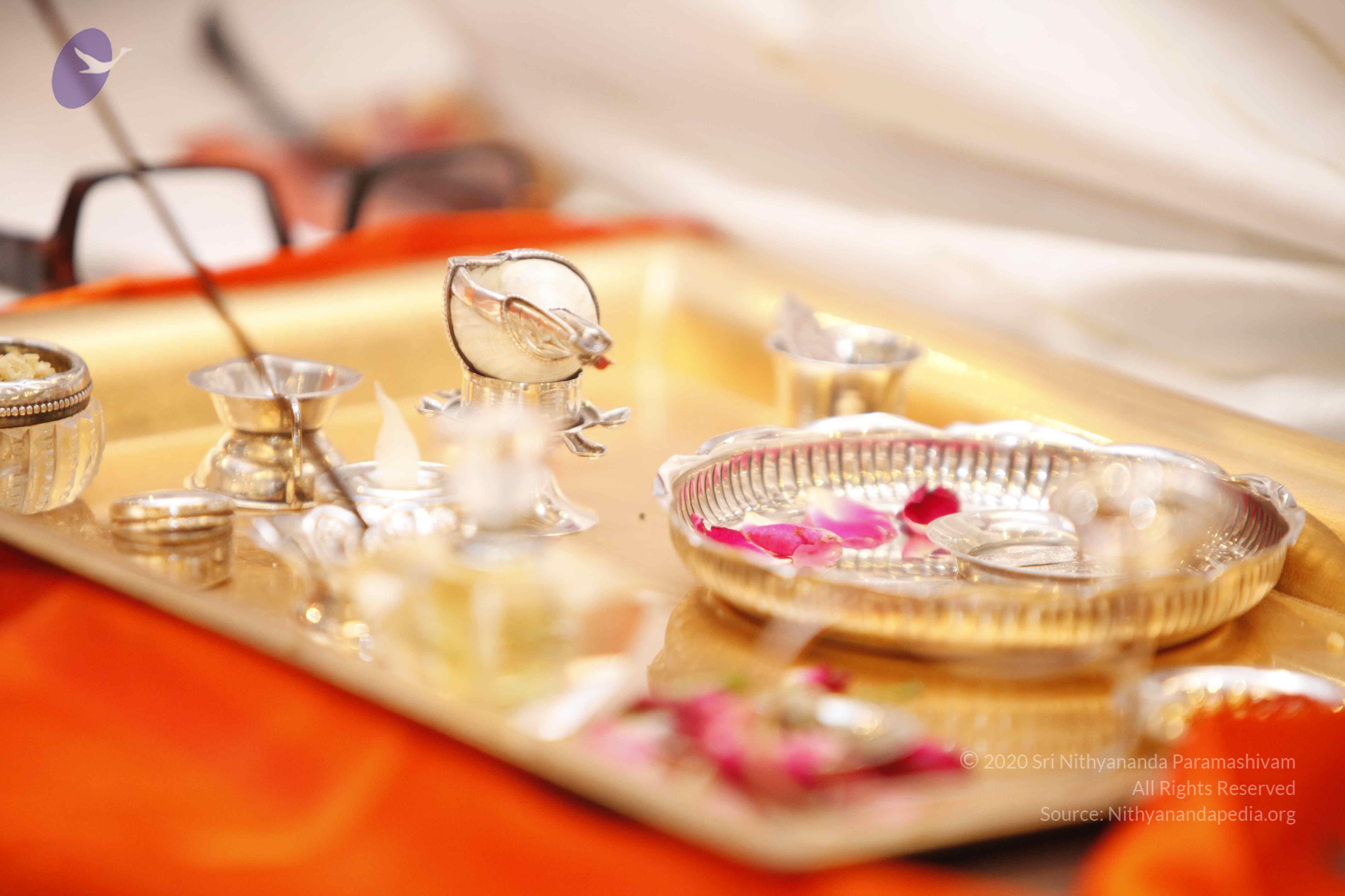 20140502_Photo_1015__MG_3590_CMP_WM