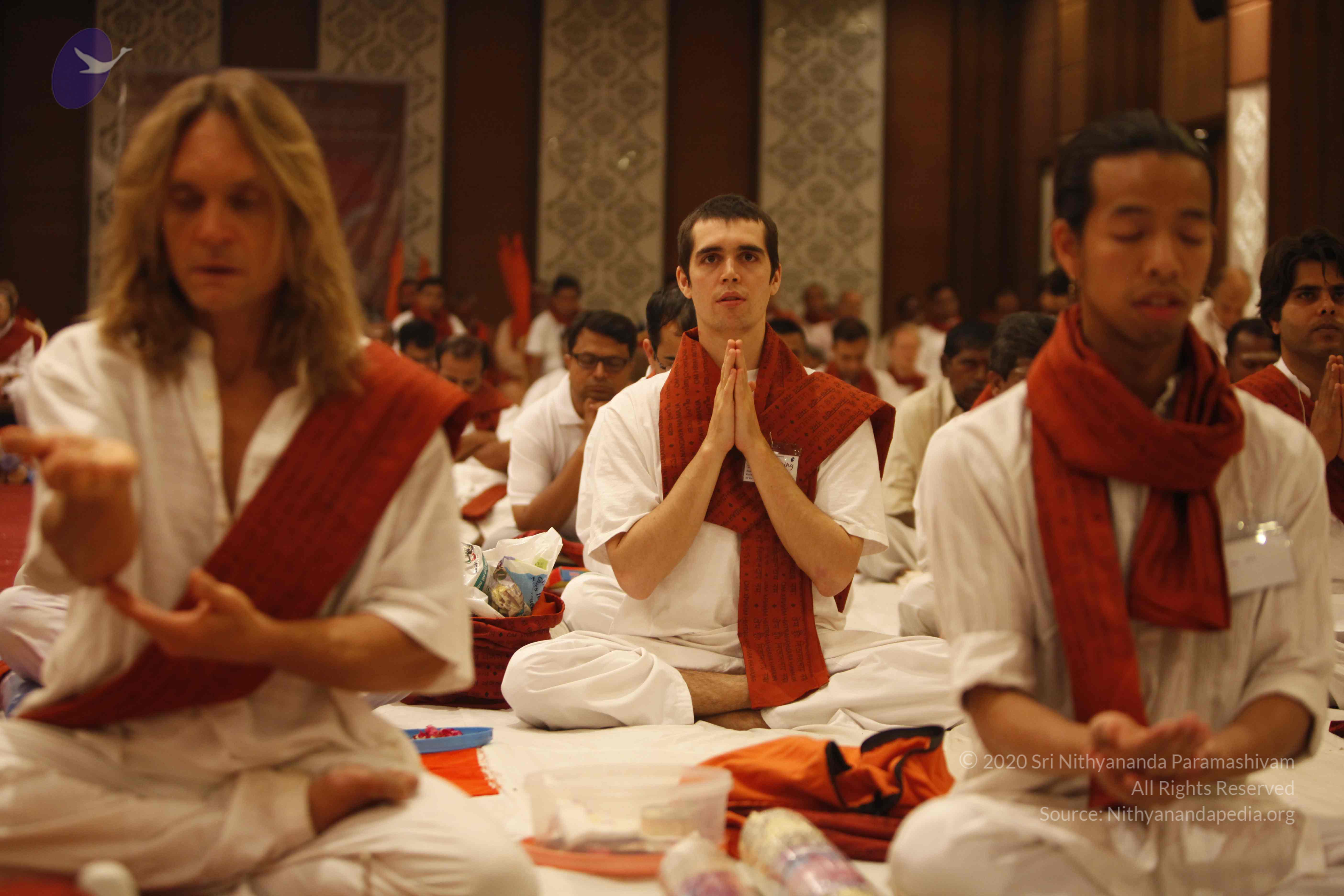 20140502_Photo_1022__MG_3600_CMP_WM