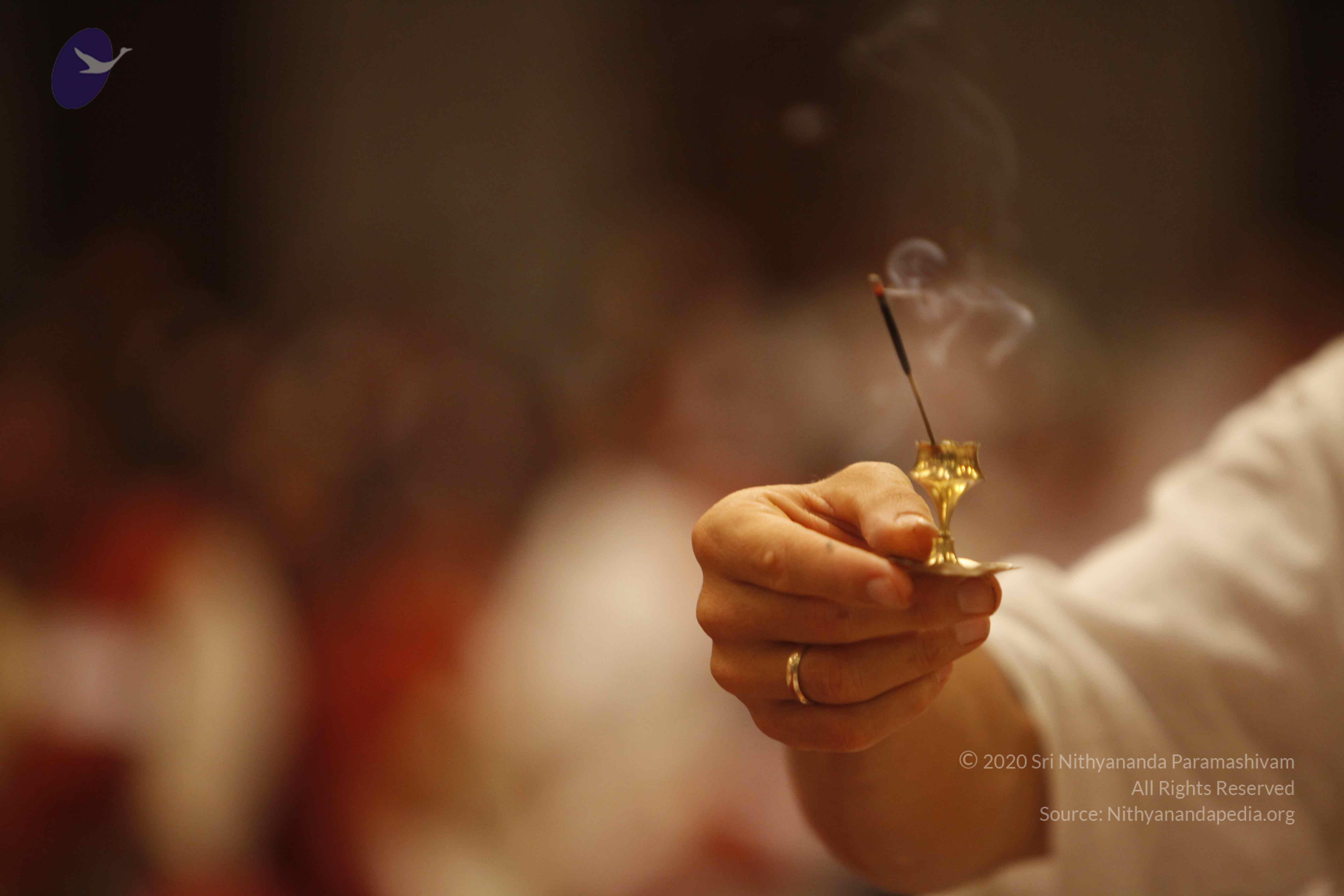 20140502_Photo_1029__MG_3602_CMP_WM