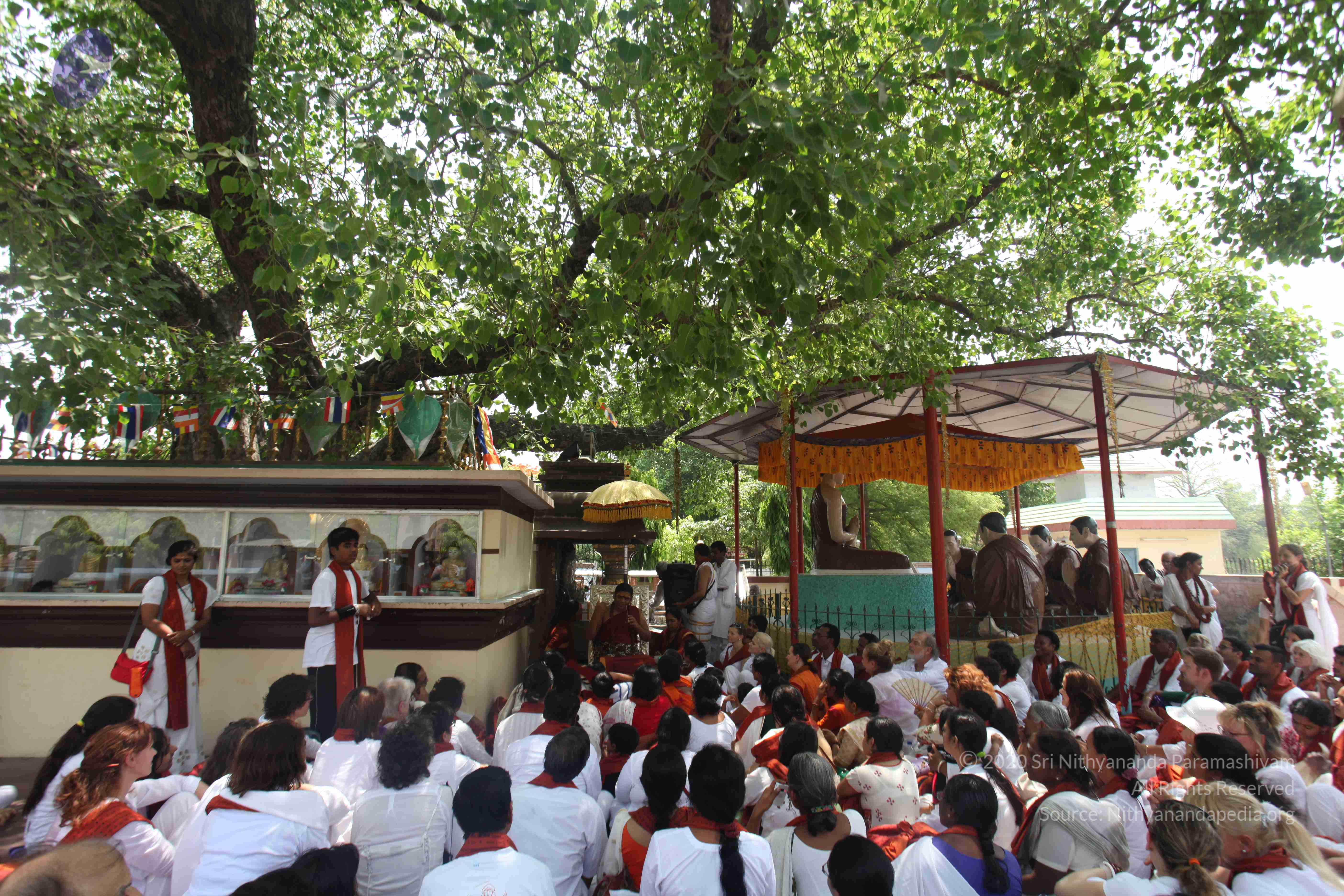 20140502_Photo_1000_IMG_3727_CMP_WM