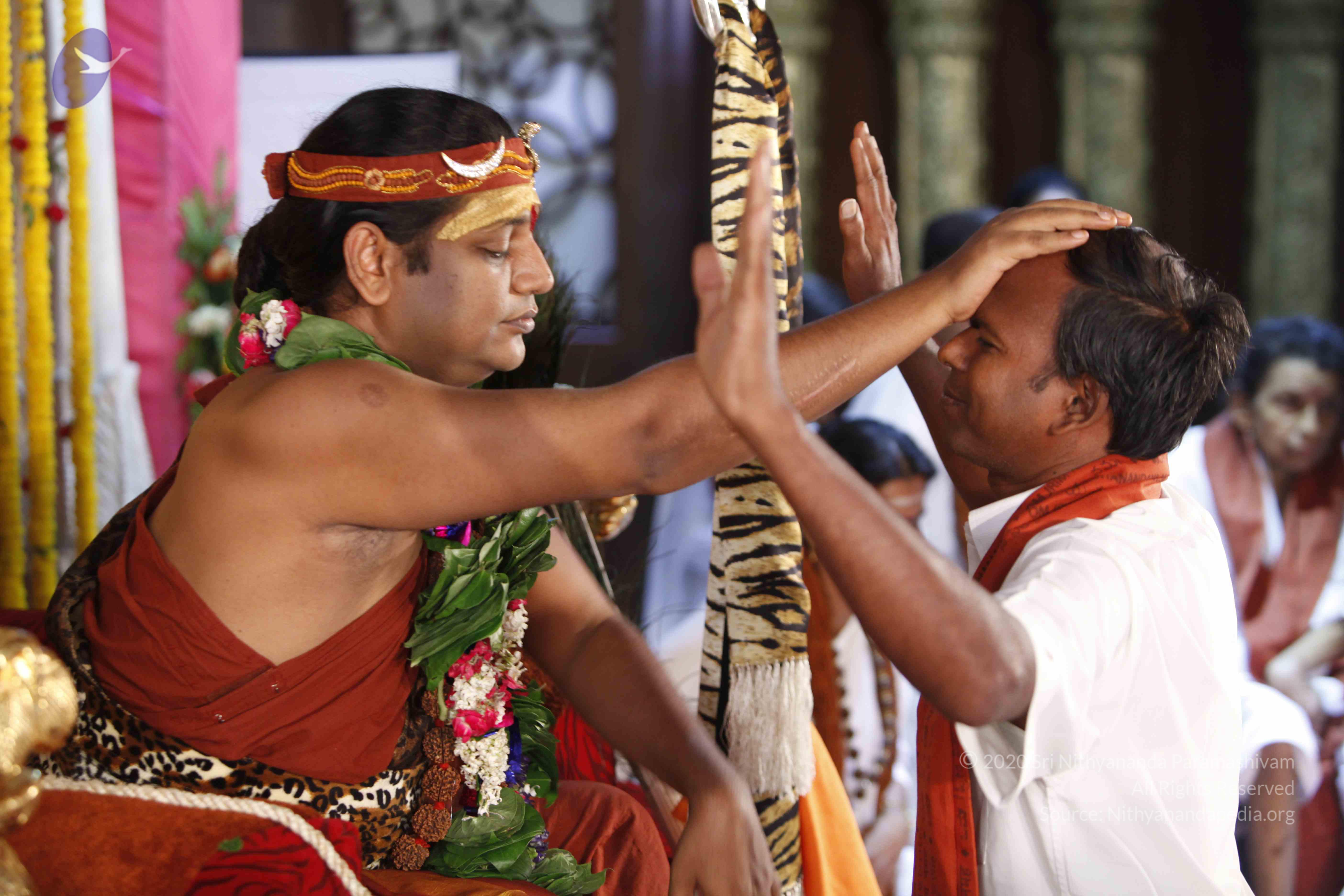 20140502_Photo_1005__MG_4001_CMP_WM