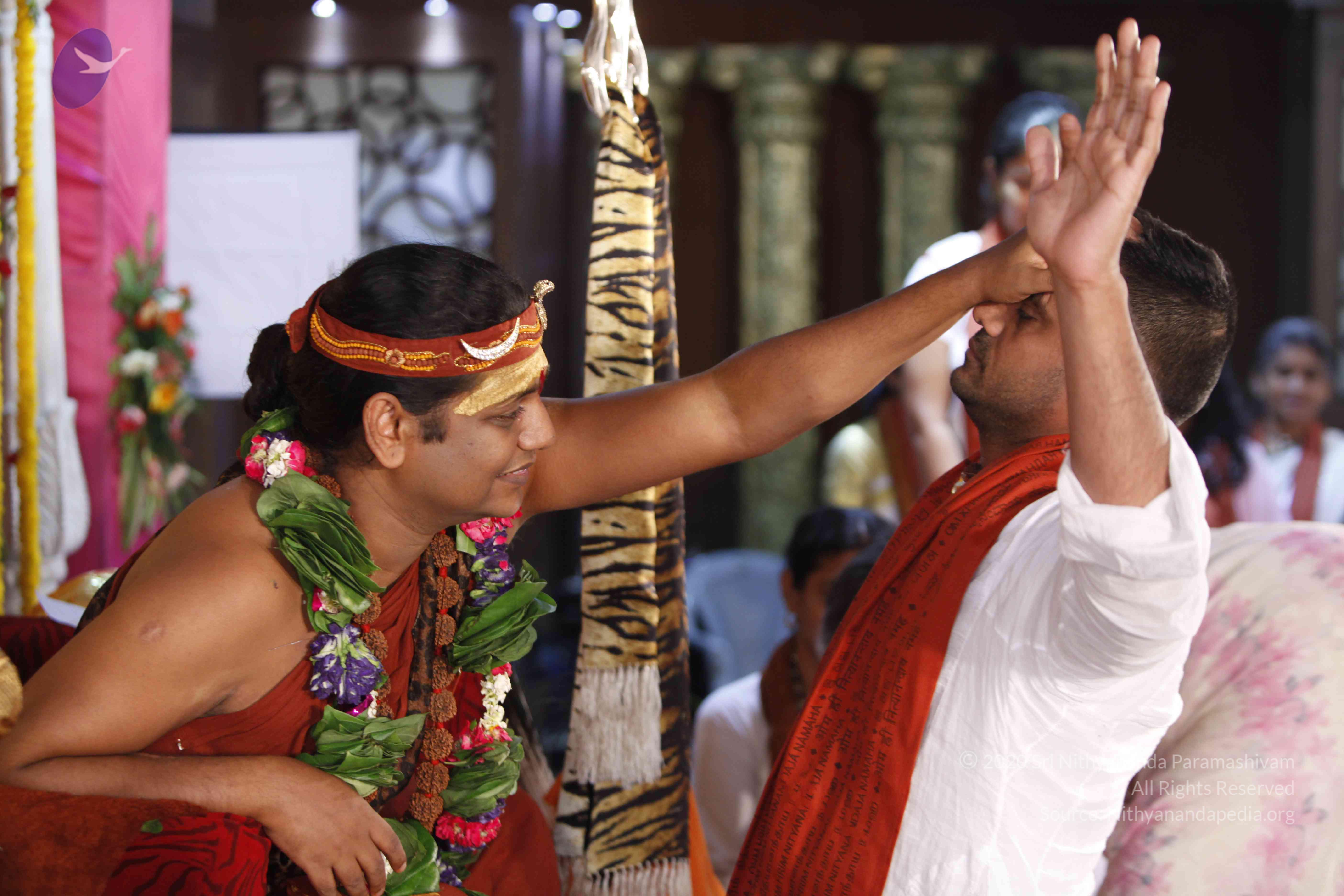 20140502_Photo_1016__MG_4033_CMP_WM