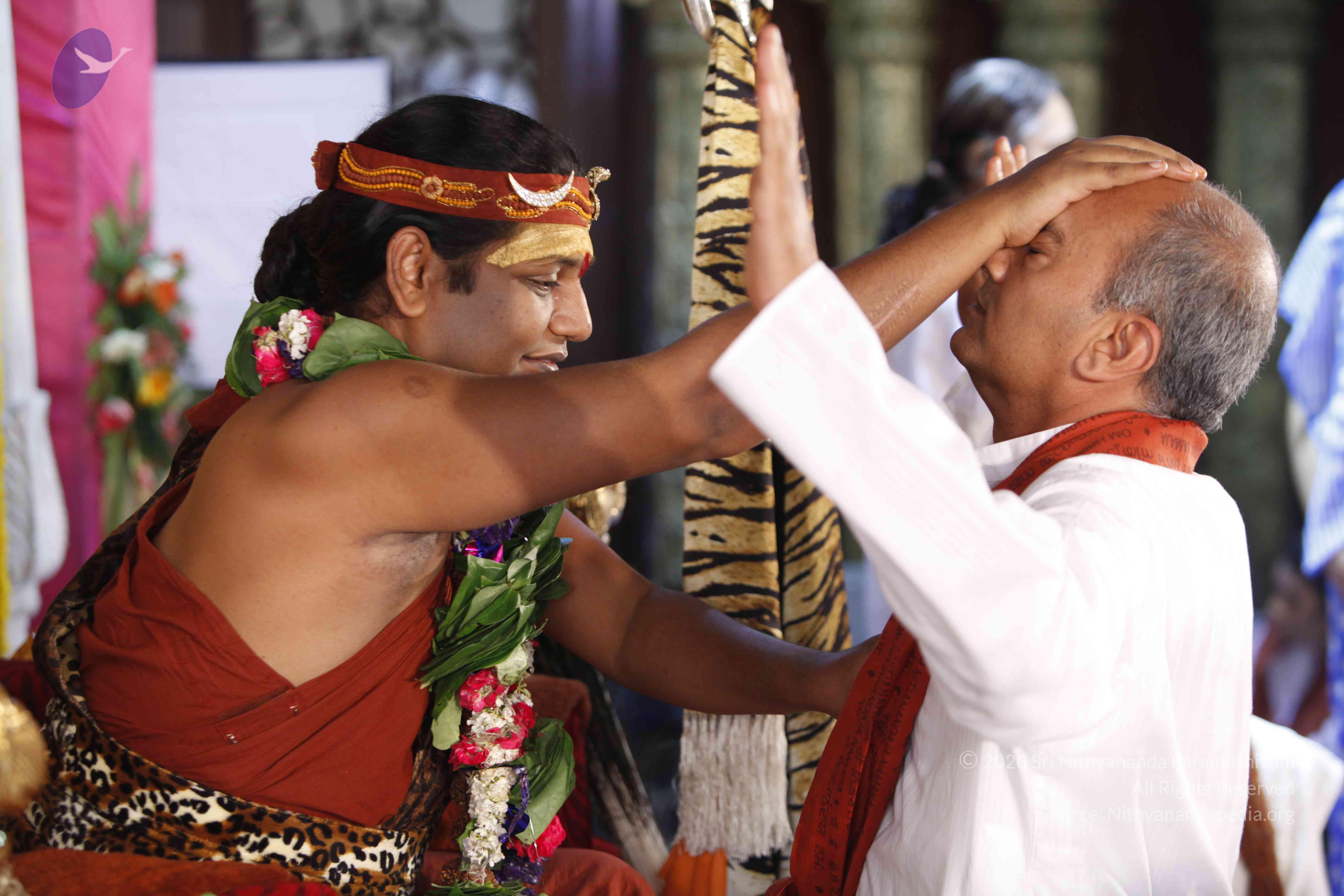 20140502_Photo_1038__MG_3979_CMP_WM