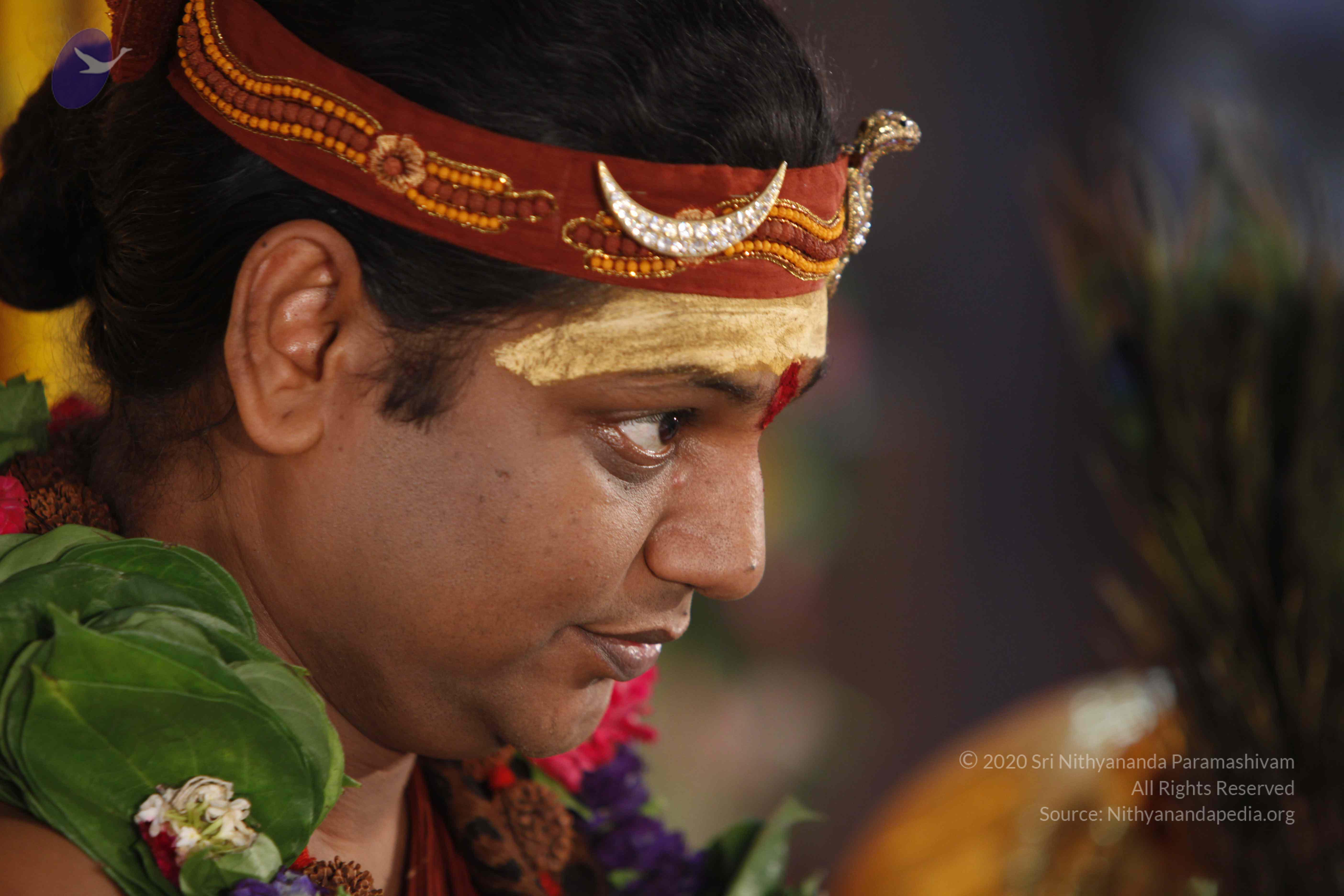 20140502_Photo_1040__MG_3802_CMP_WM