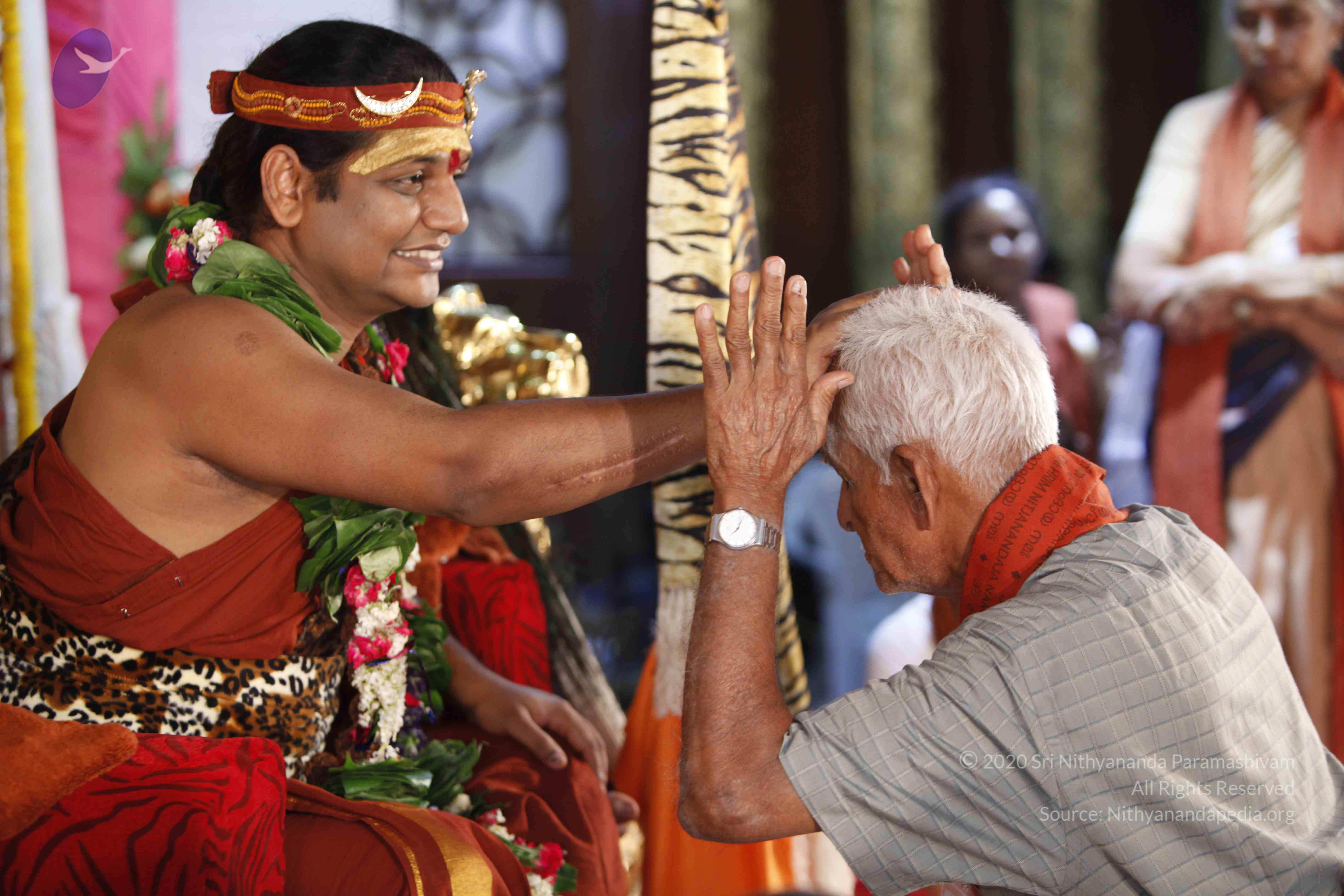 20140502_Photo_1053__MG_4064_CMP_WM