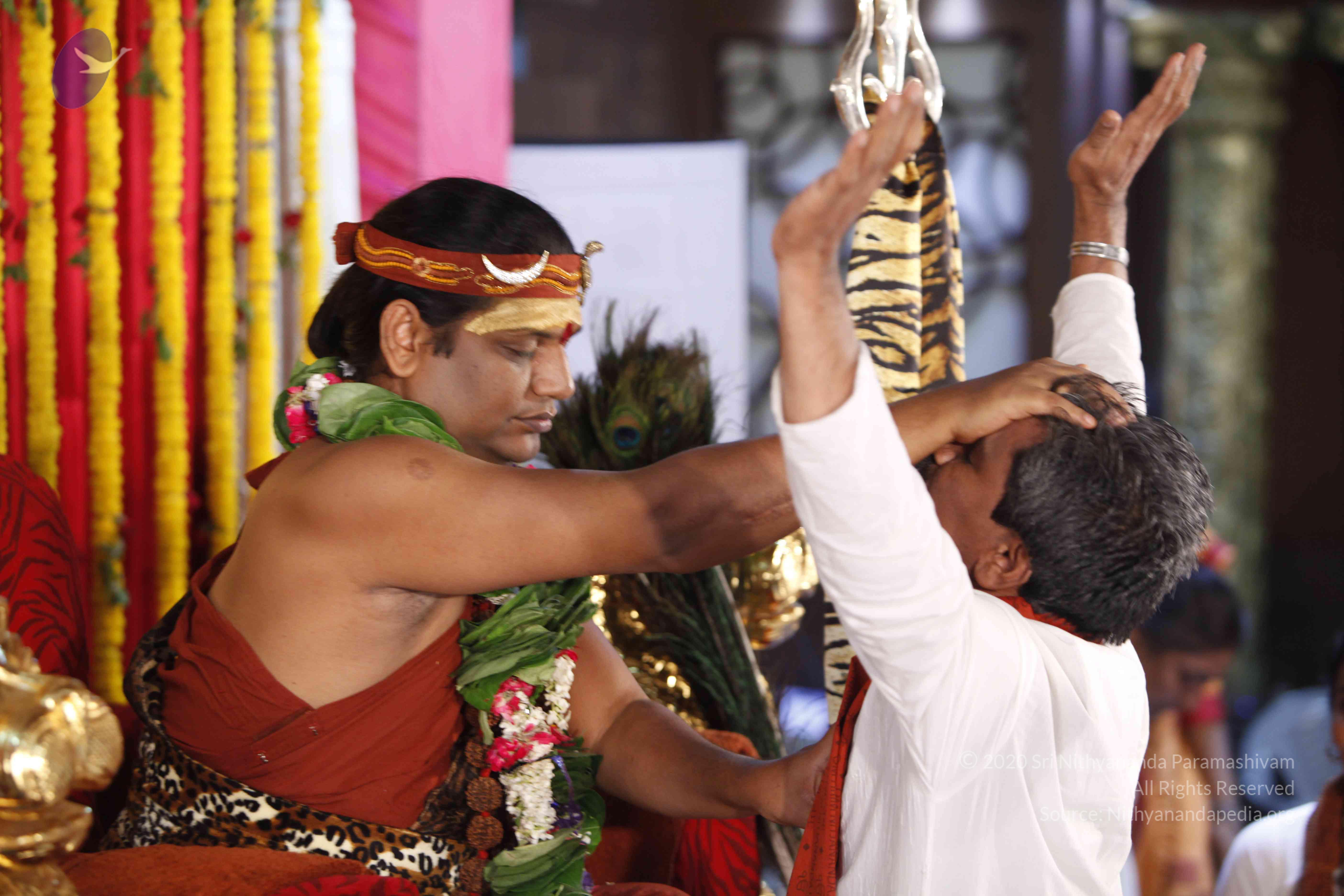 20140502_Photo_1091__MG_3872_CMP_WM