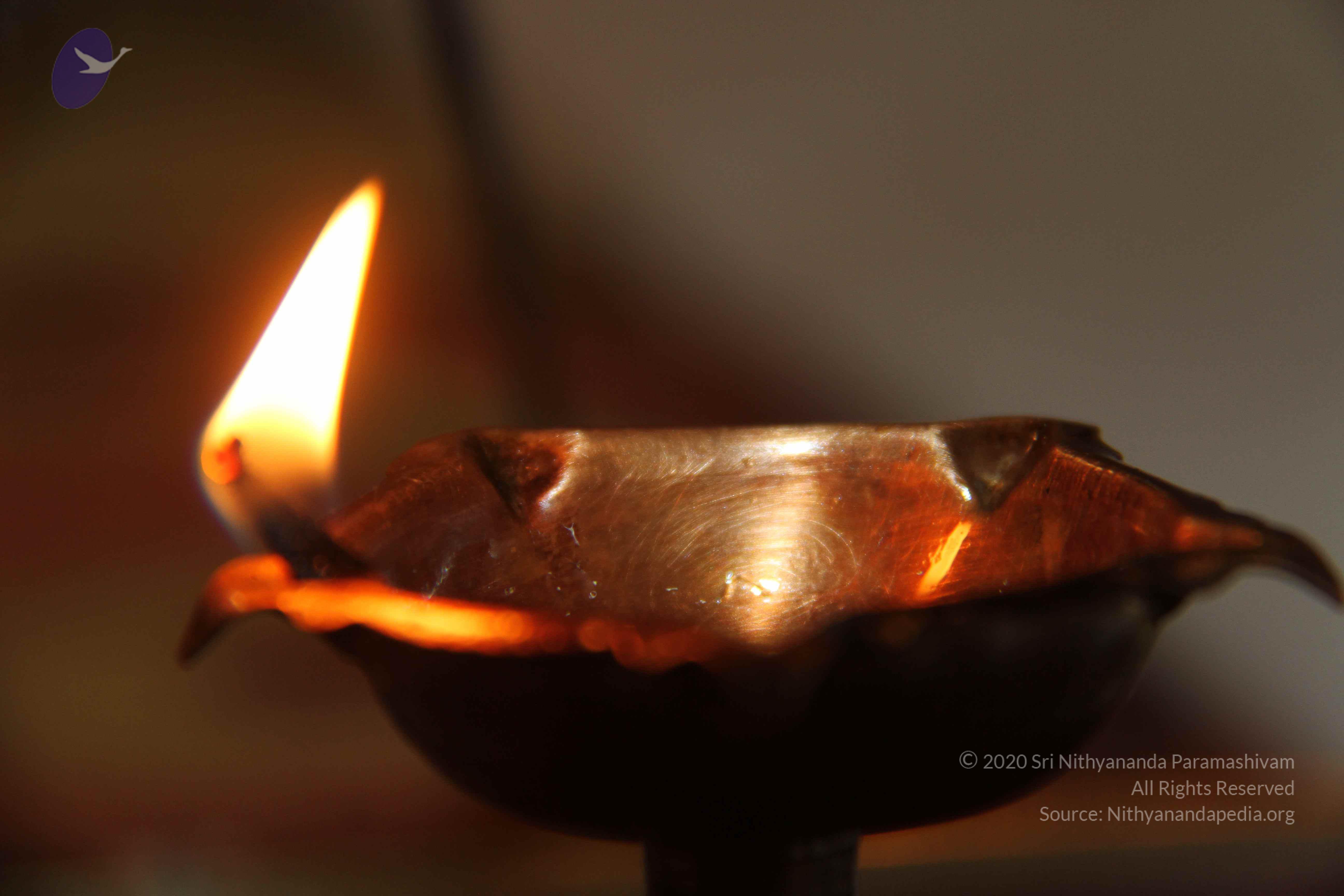 20140503_Photo_1025_IMG_3778_CMP_WM