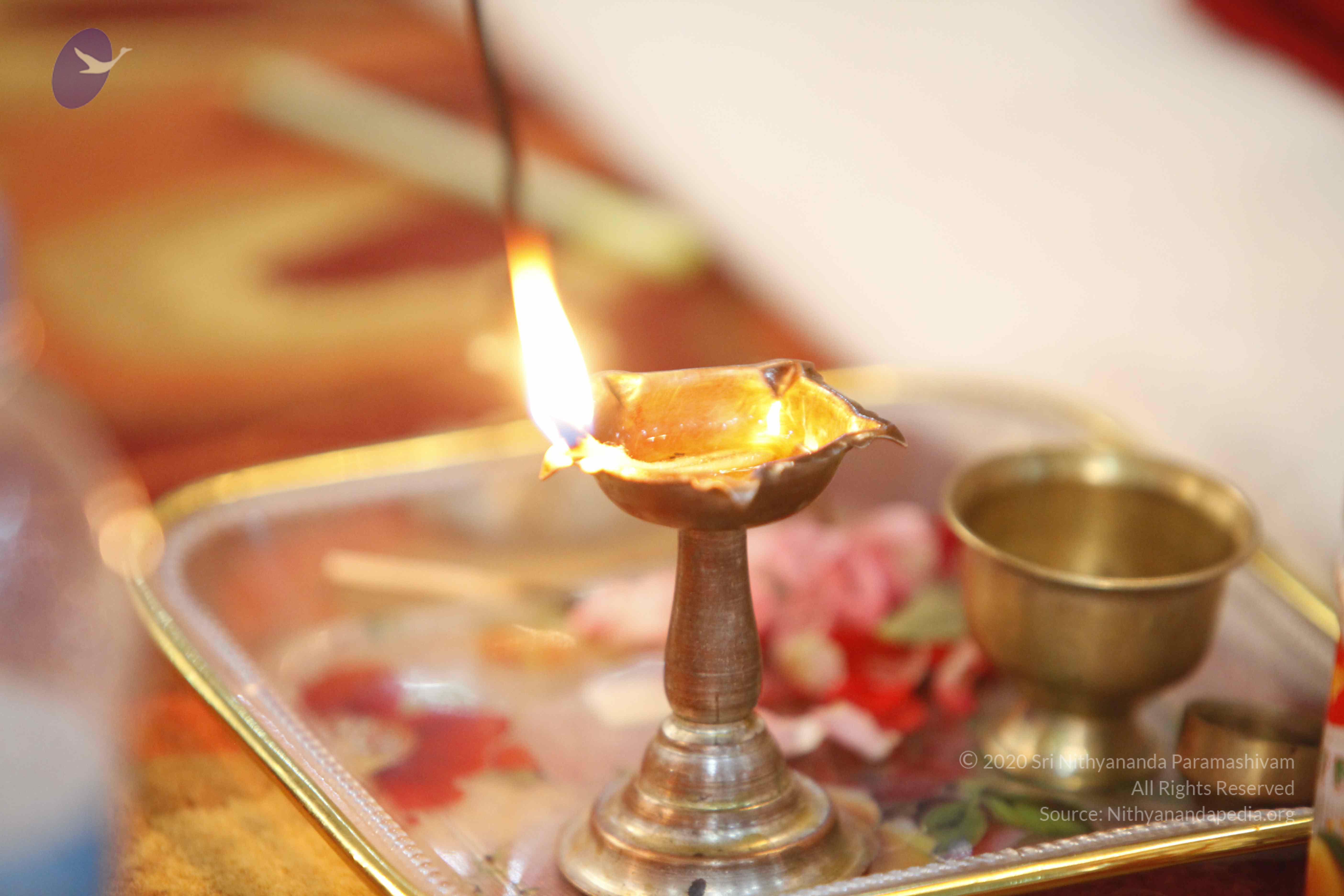 20140503_Photo_1049__MG_4203_CMP_WM