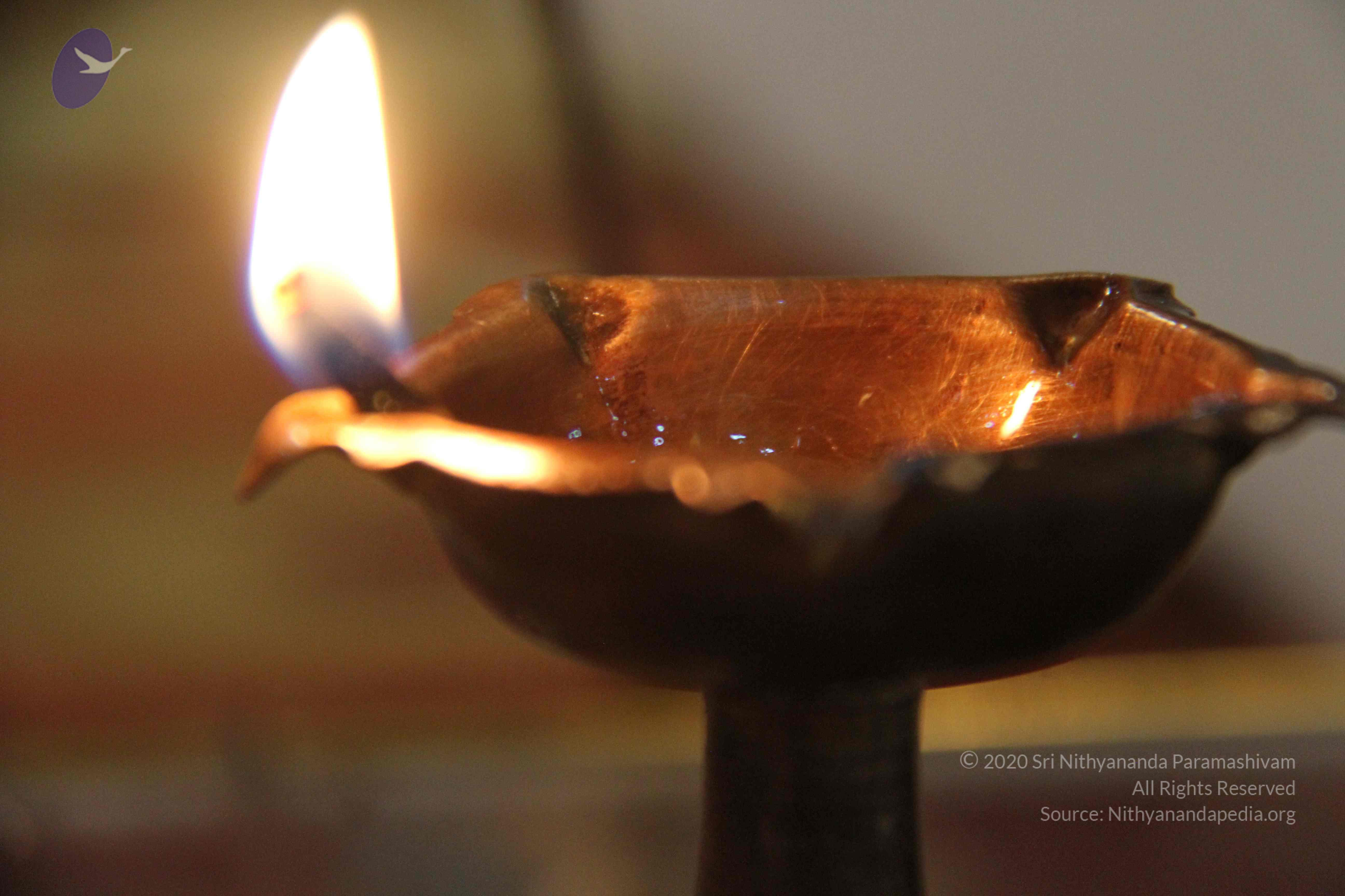 20140503_Photo_1051_IMG_3779_CMP_WM