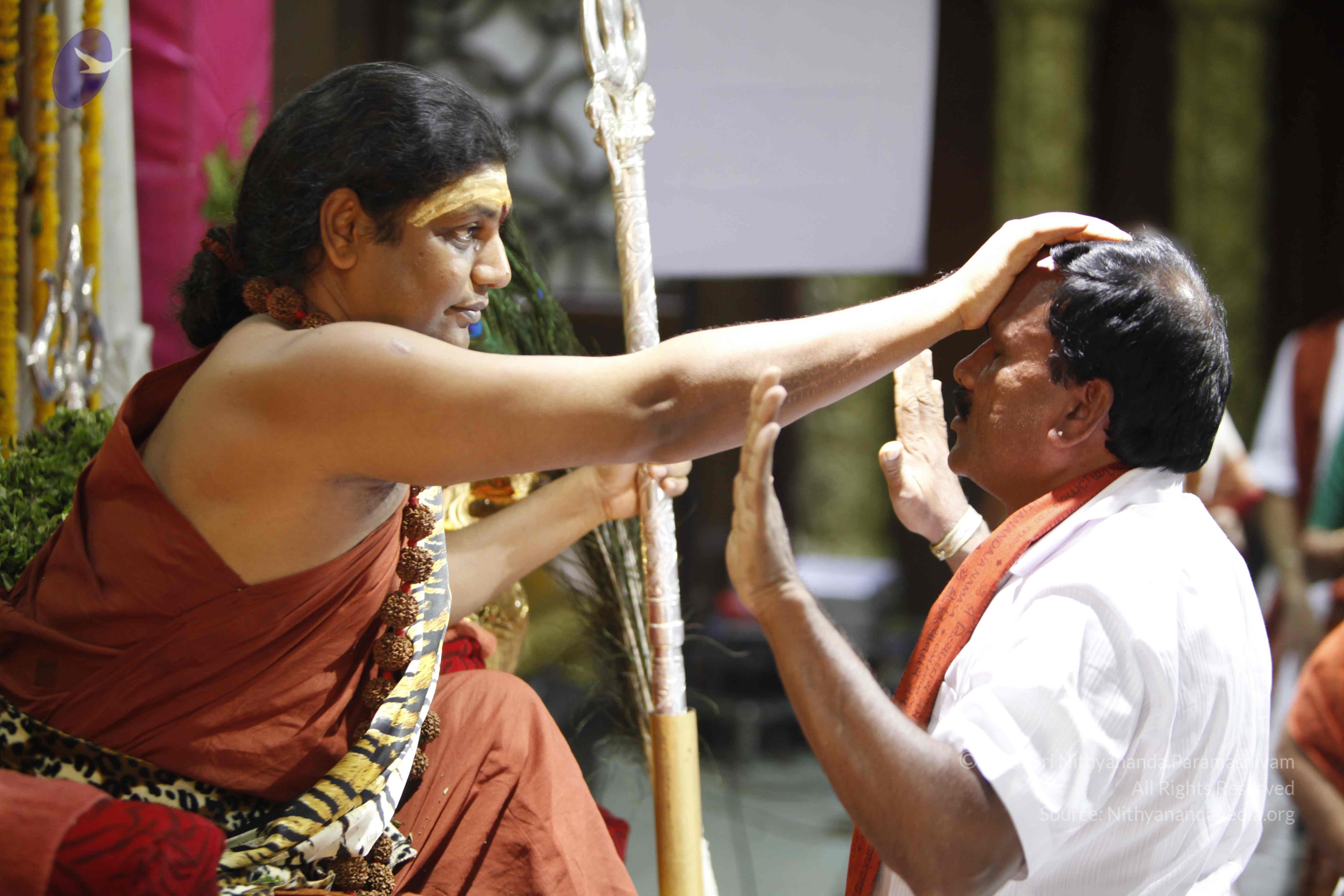 20140503_Photo_1002__MG_4430_CMP_WM