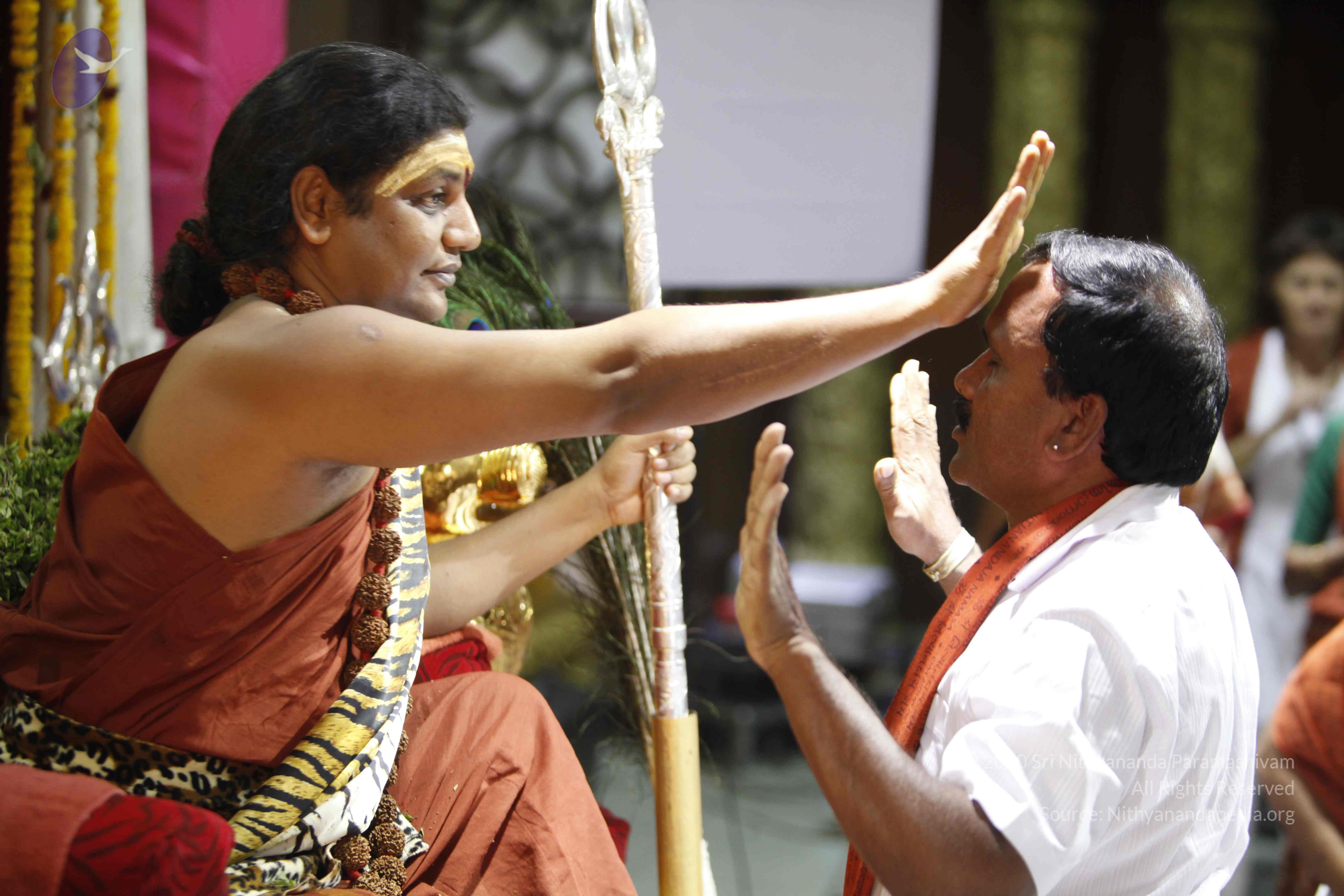 20140503_Photo_1027__MG_4429_CMP_WM