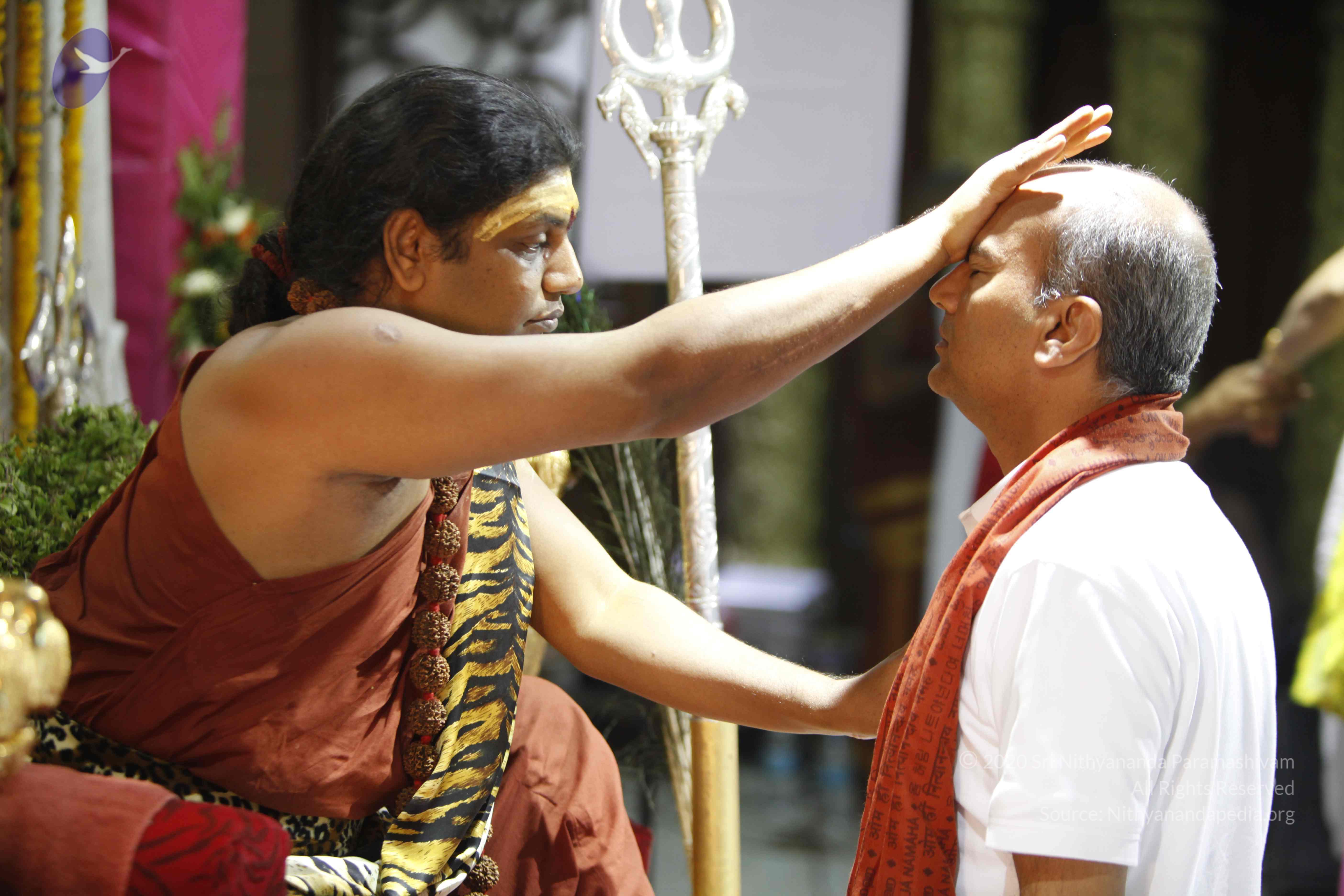 20140503_Photo_1072__MG_4478_CMP_WM