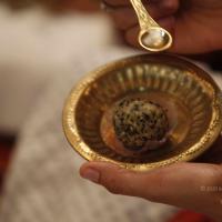 20140503_Photo_1037__MG_4217_CMP_WM