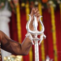 20140503_Photo_1001__MG_4379_CMP_WM