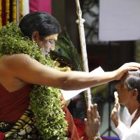 20140503_Photo_1103__MG_4415_CMP_WM