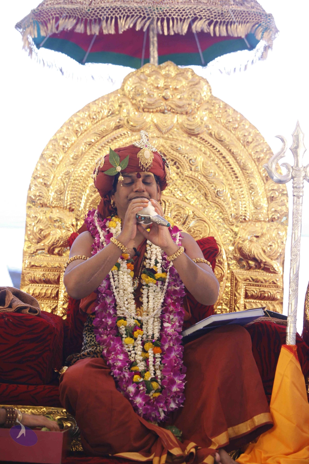 20140501_Photo_1004__MG_3018_CMP_WM