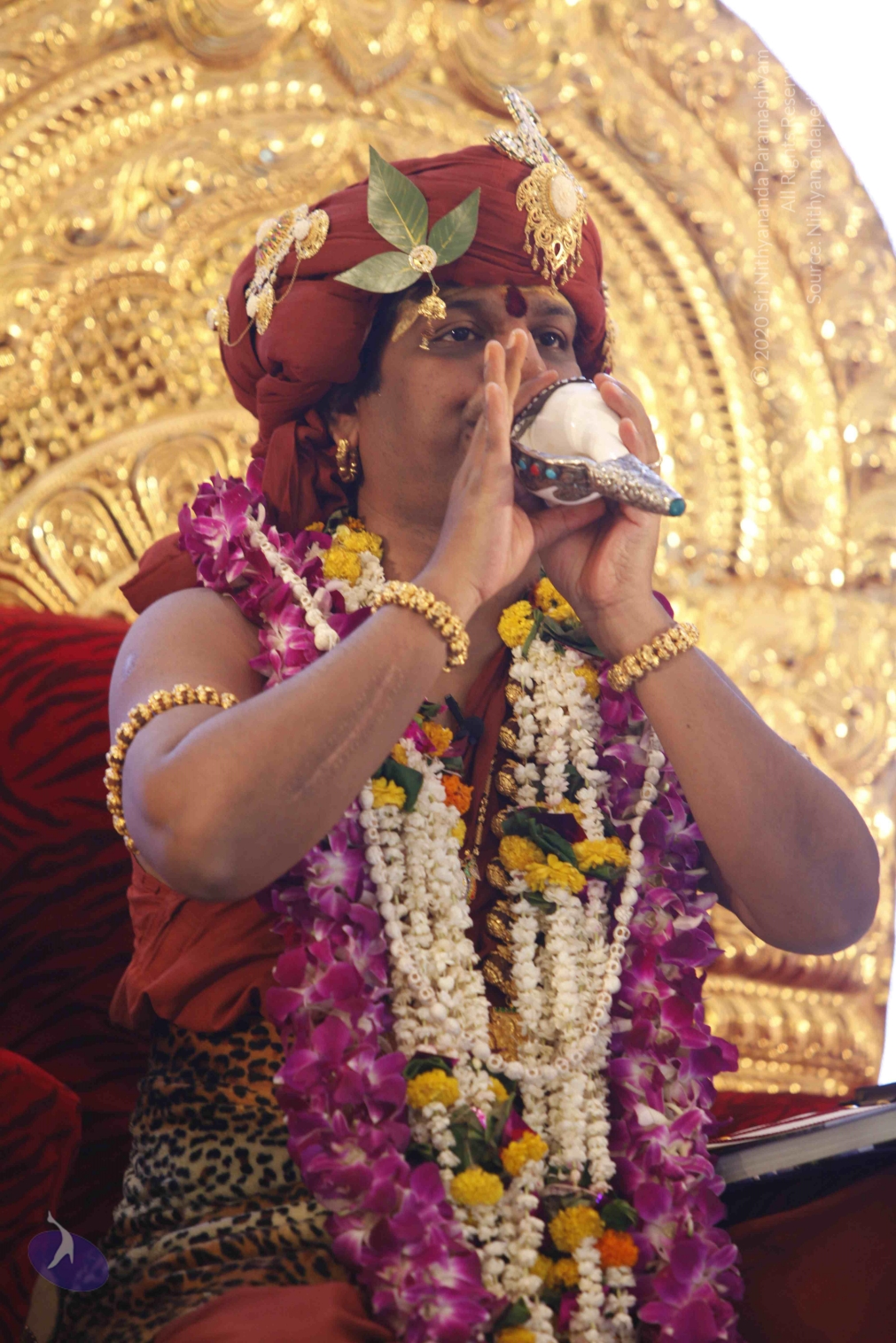 20140501_Photo_1012__MG_3017_CMP_WM