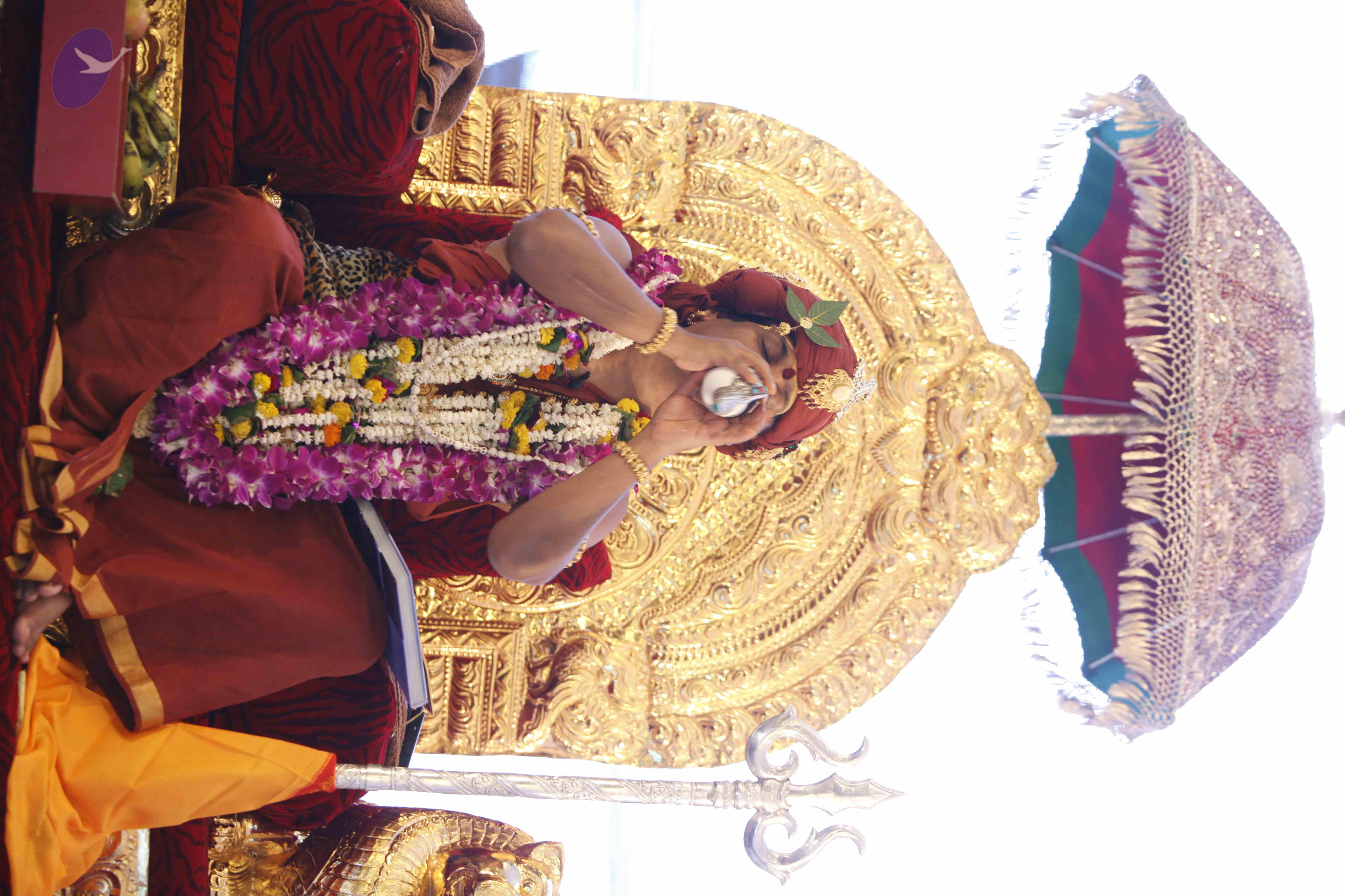 20140501_Photo_1039__MG_3021_CMP_WM