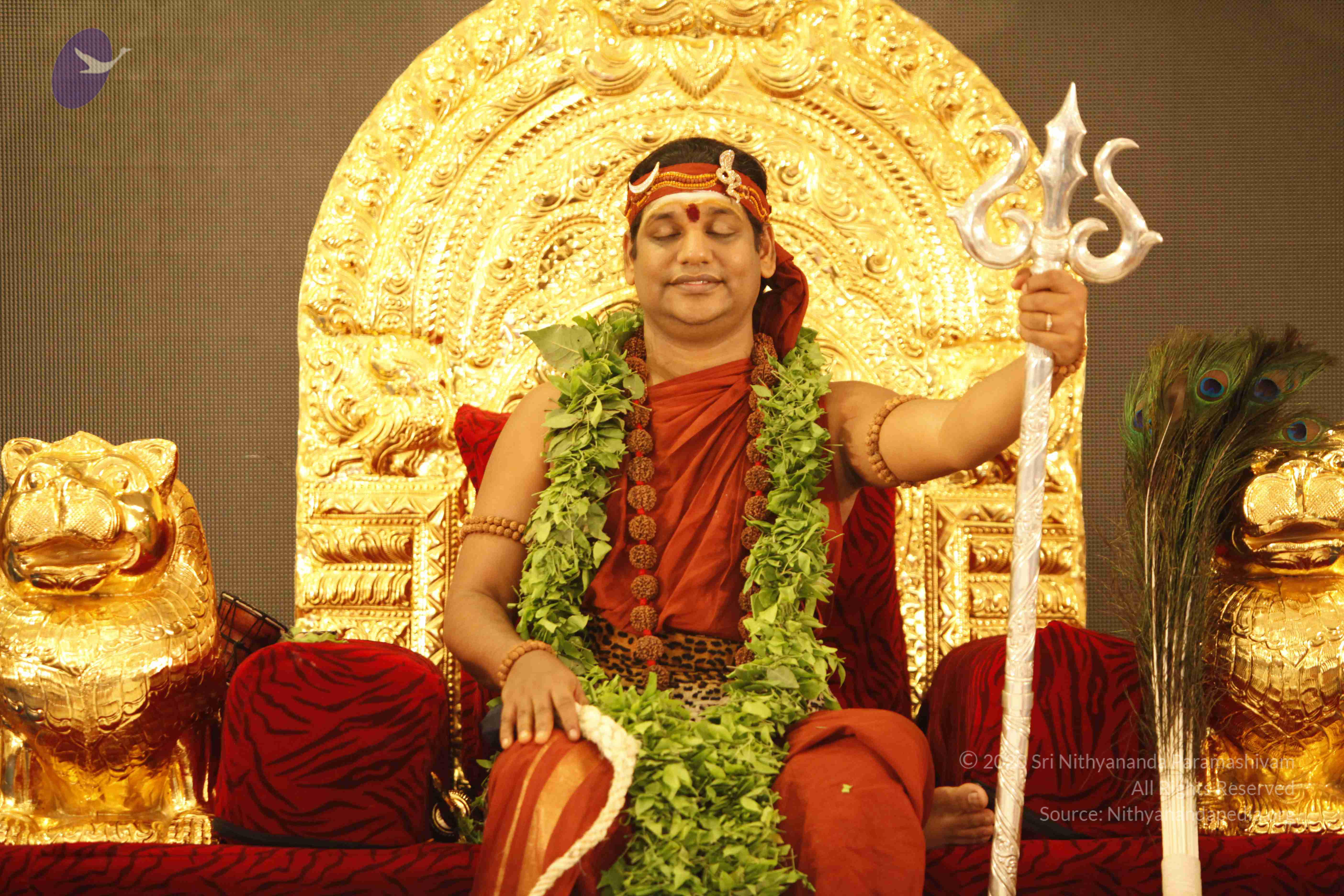 20140501_Photo_1010__MG_3221_CMP_WM