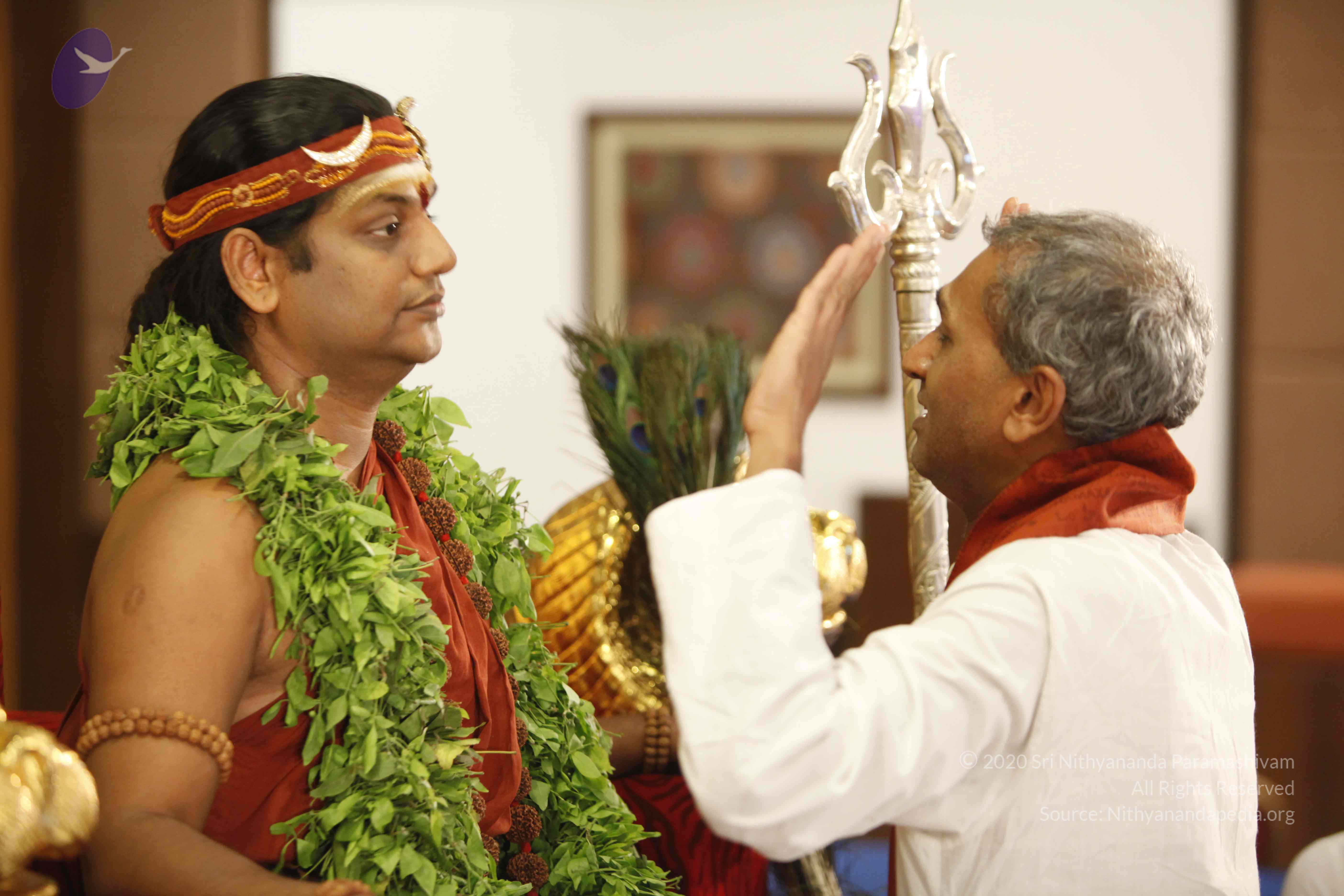 20140501_Photo_1038__MG_3343_CMP_WM