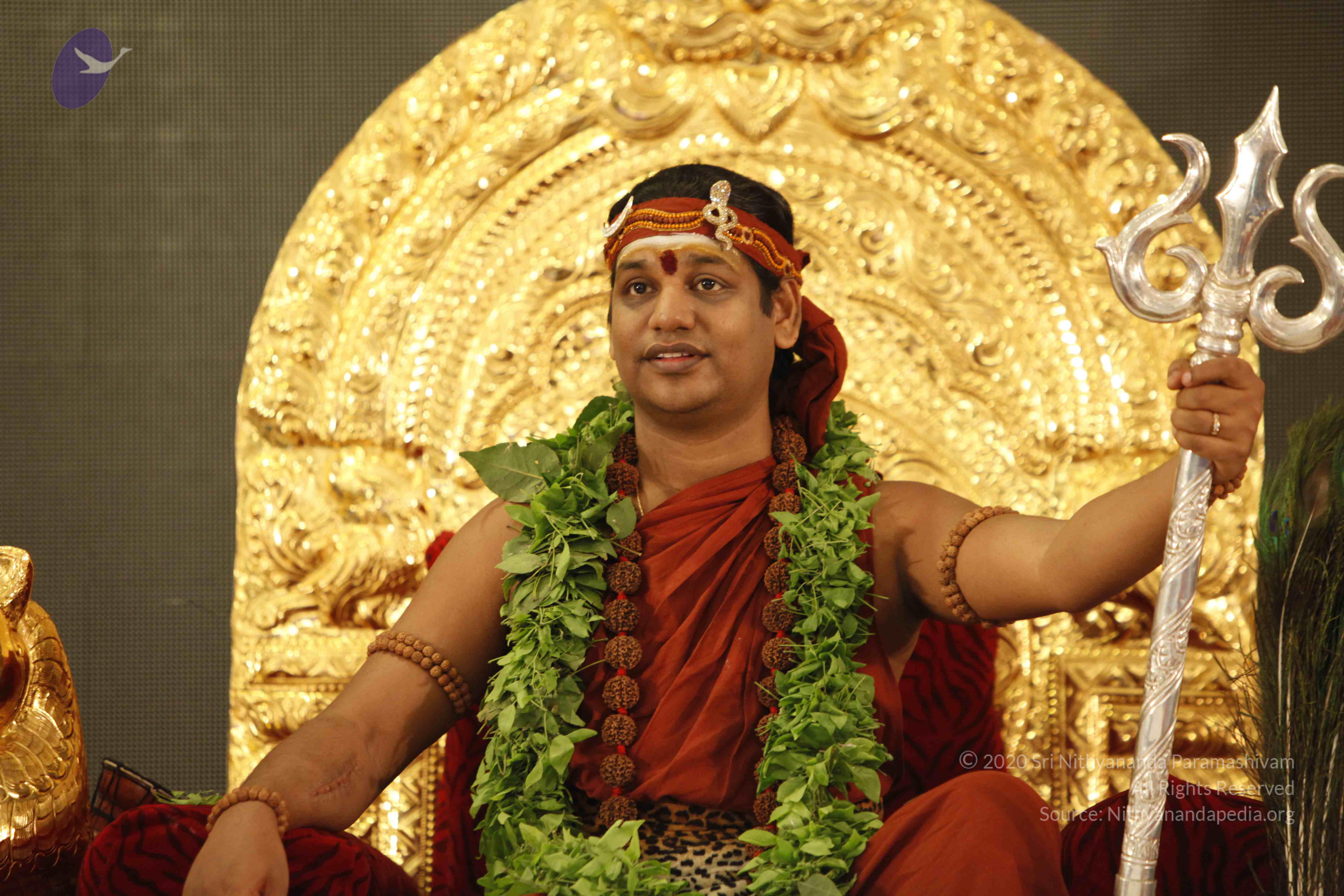 20140501_Photo_1171__MG_3234_CMP_WM