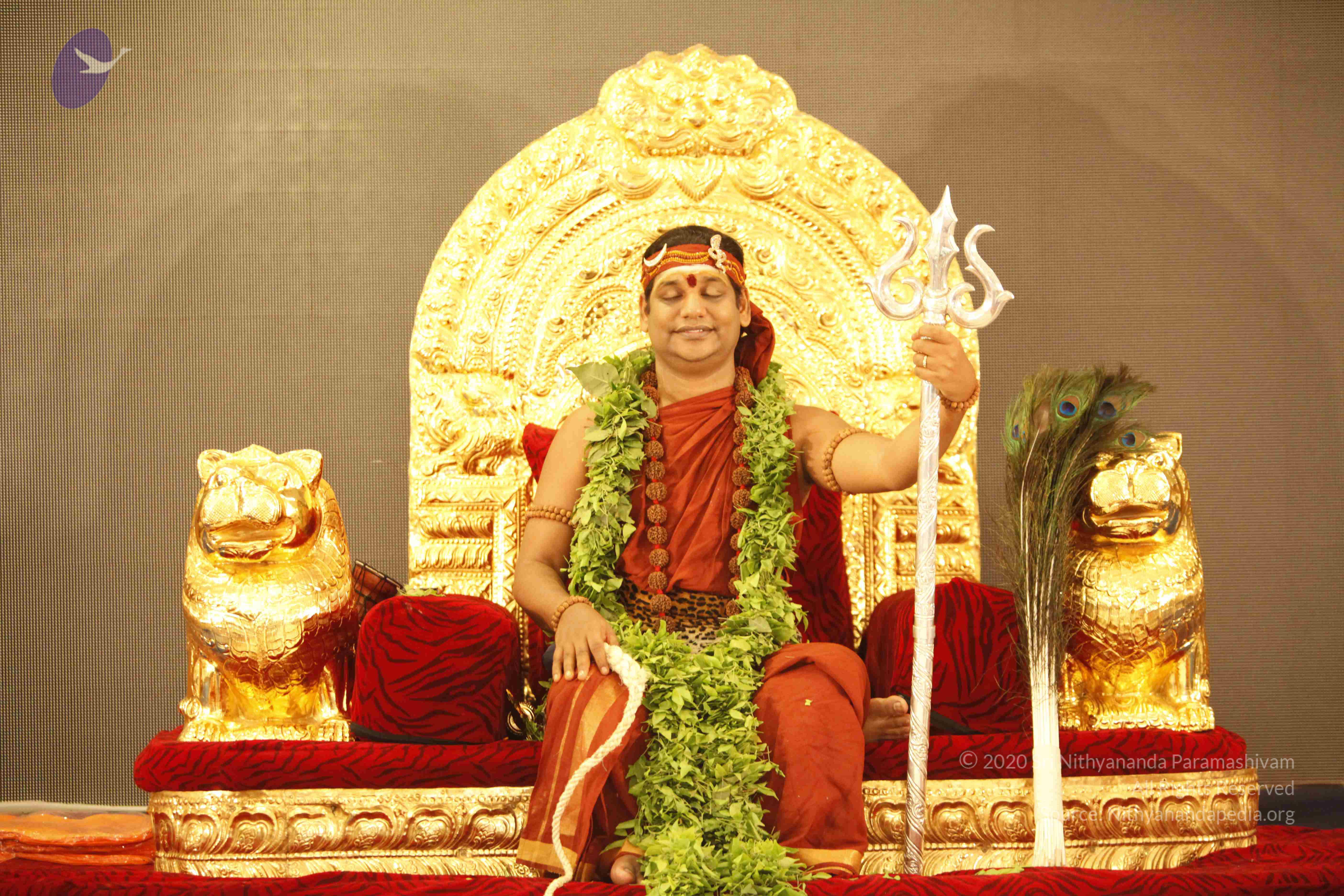 20140501_Photo_1209__MG_3220_CMP_WM