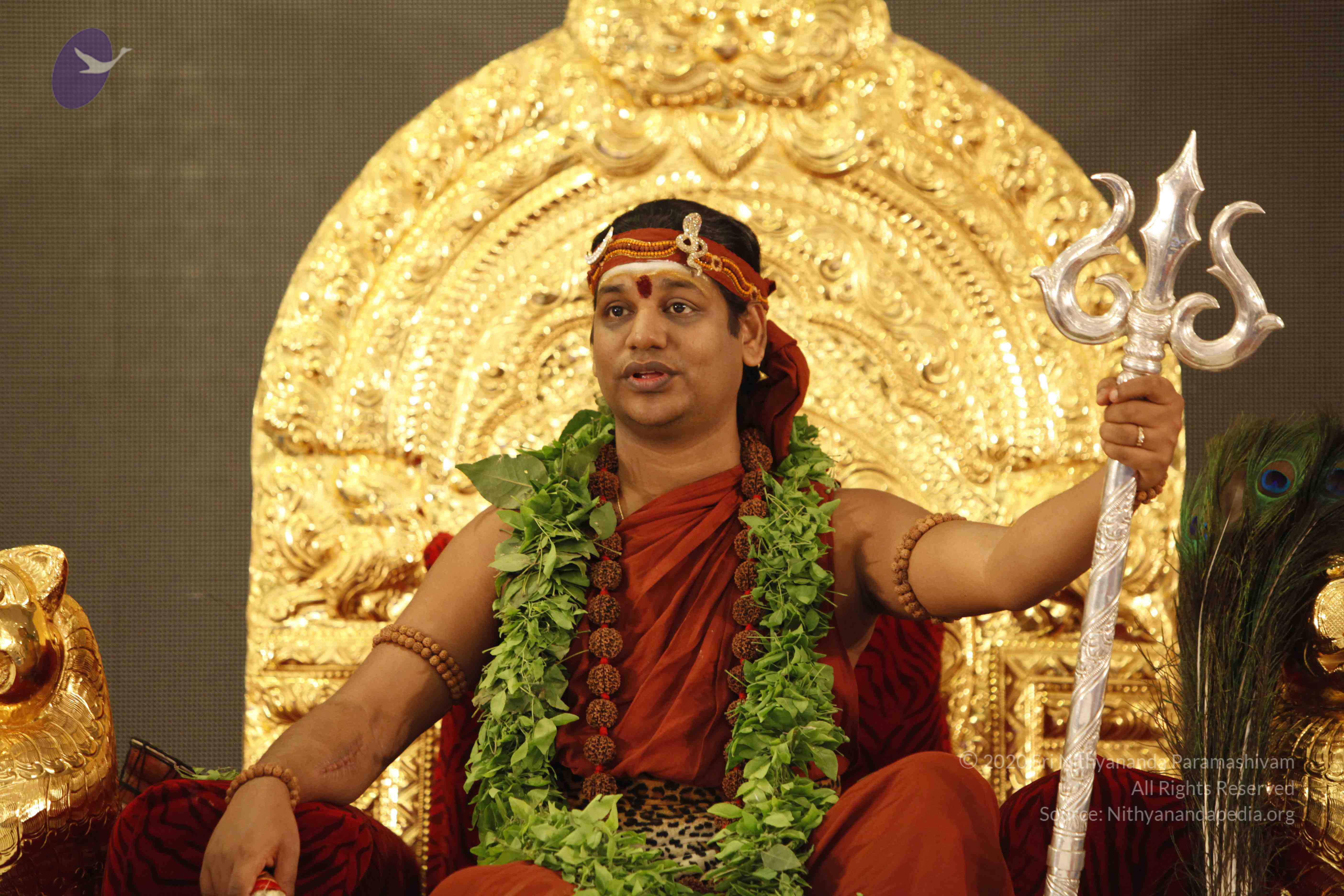 20140501_Photo_1225__MG_3231_CMP_WM