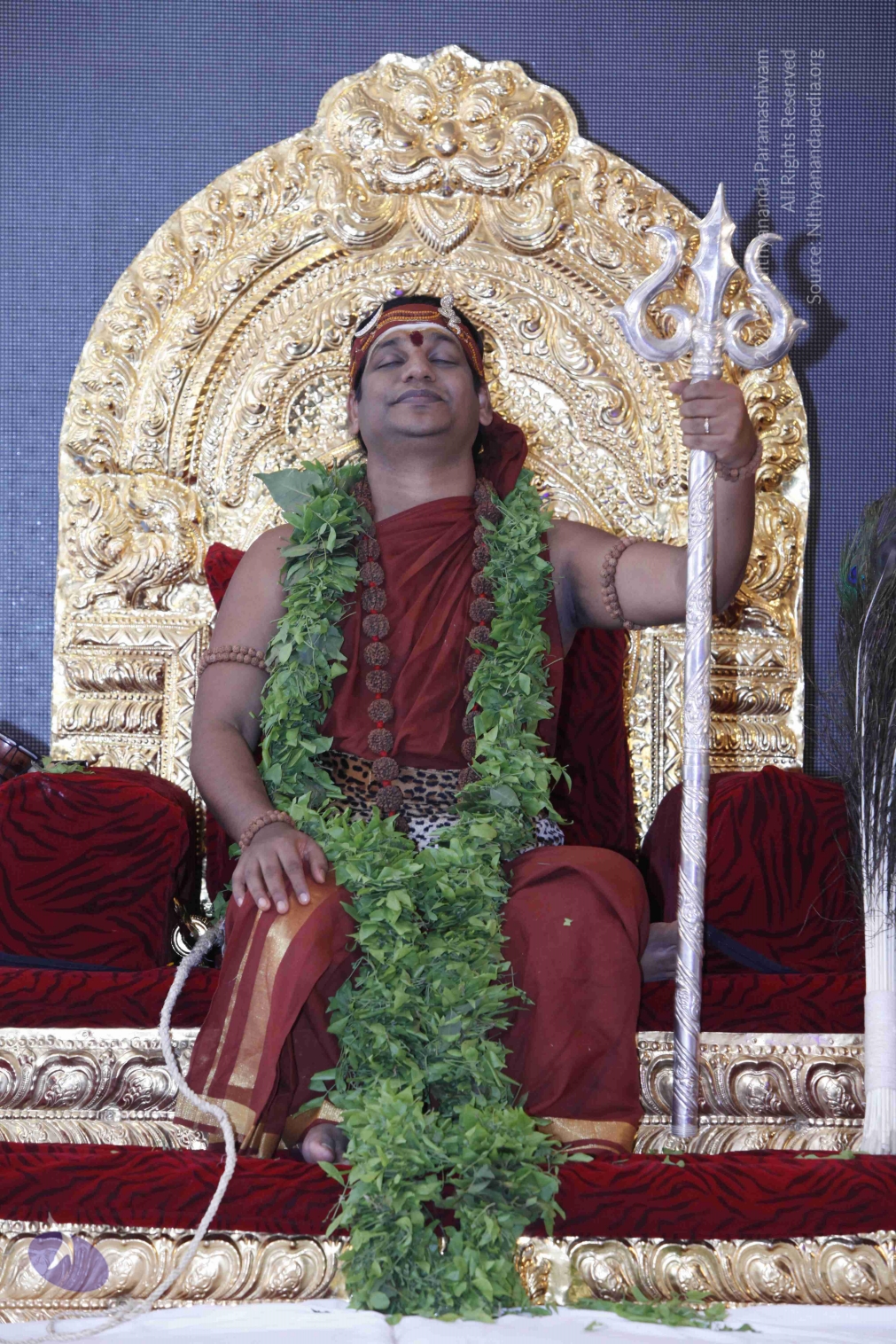 20140501_Photo_1288__MG_3215_CMP_WM