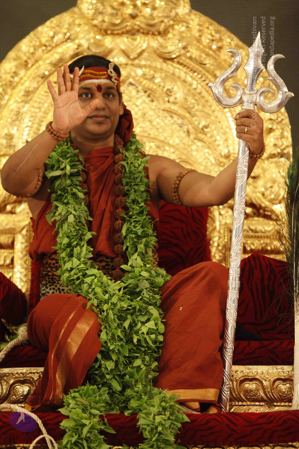 20140501_Photo_1294__MG_3240_CMP_WM