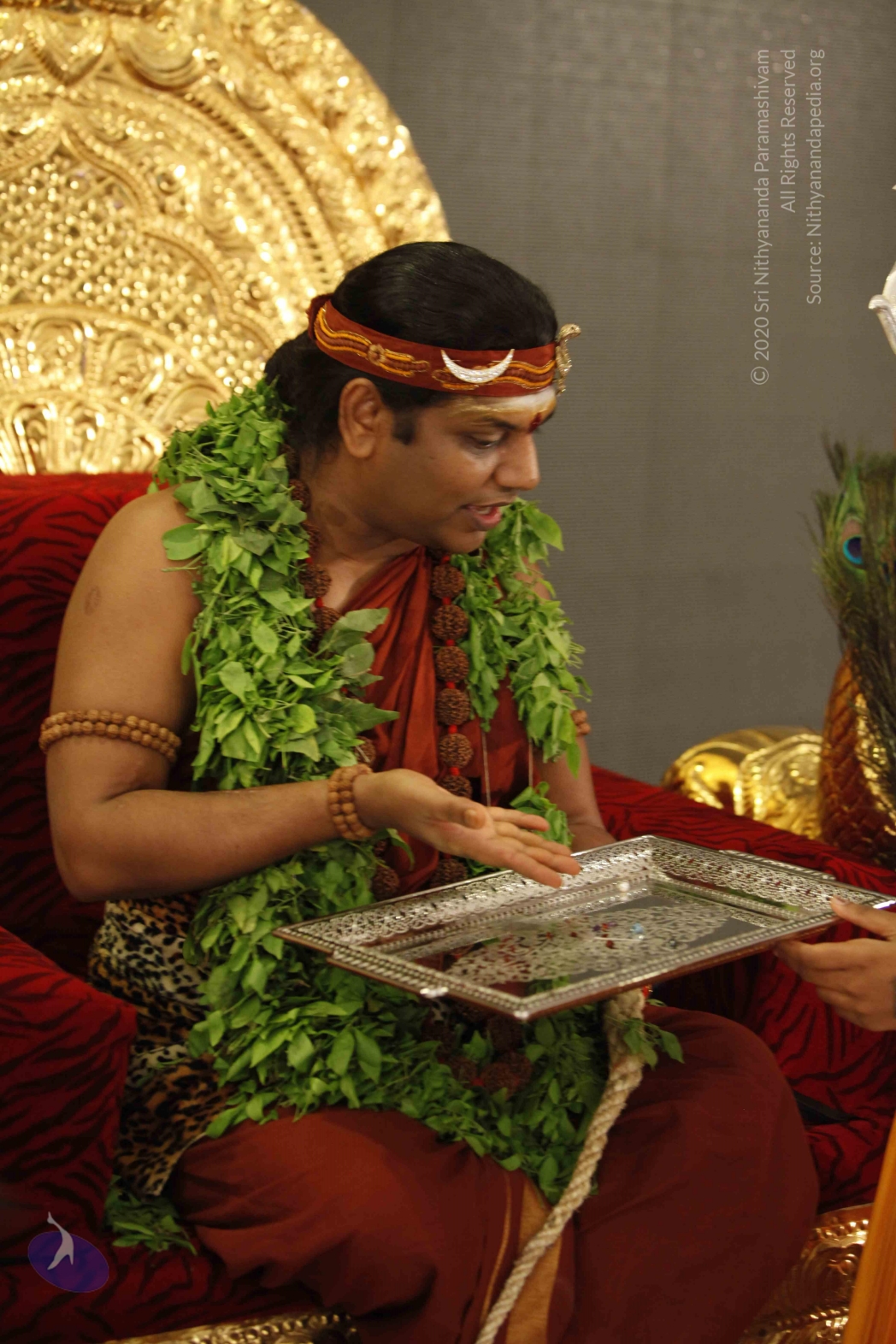 20140501_Photo_1012__MG_3373_CMP_WM