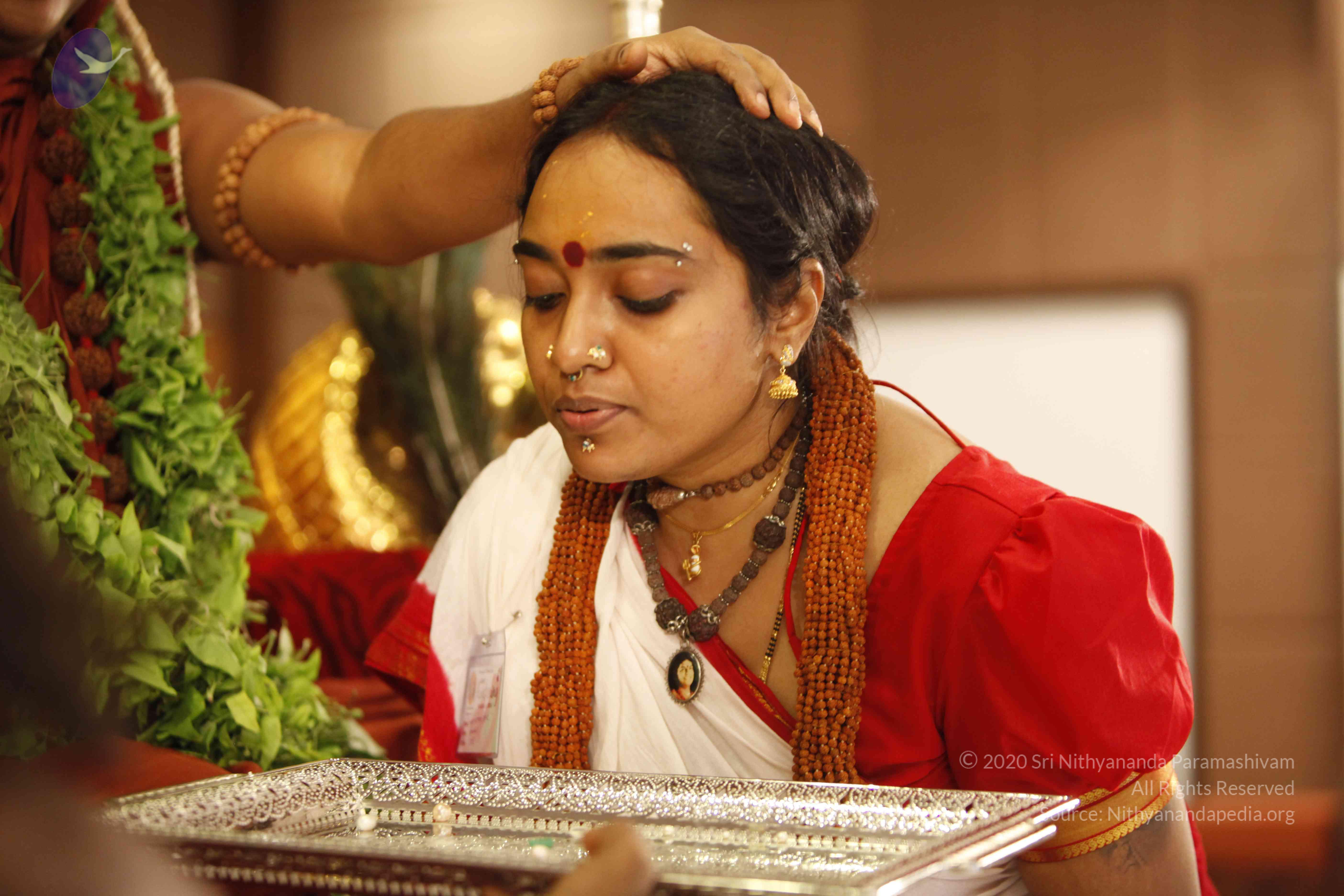 20140501_Photo_1023__MG_3278_CMP_WM